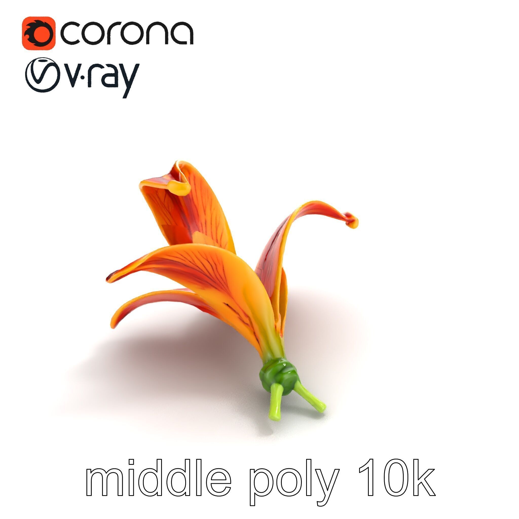 Vibrant Asiatique Lily Flower 3D model pack Low-poly 3D model_7