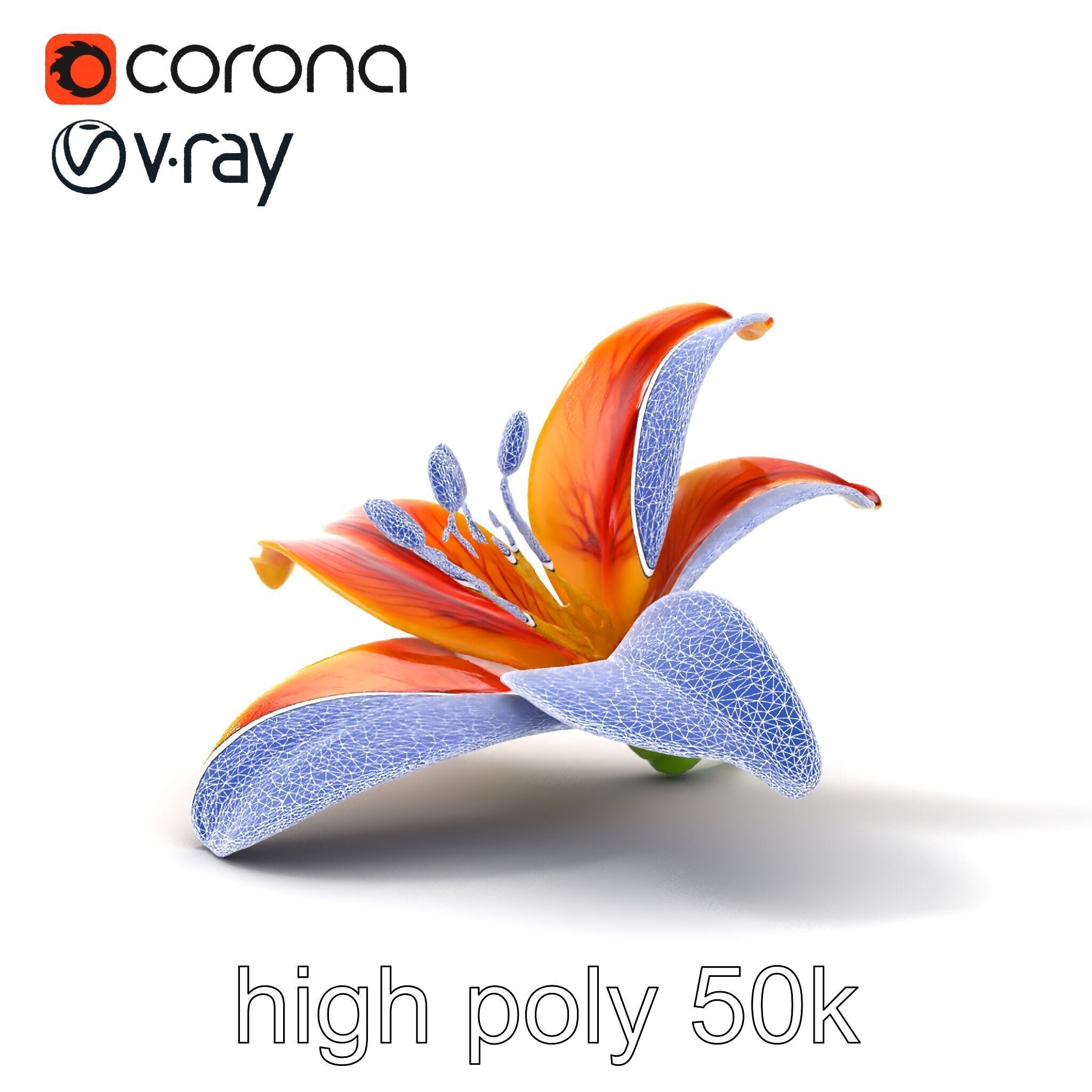 Vibrant Asiatique Lily Flower 3D model pack Low-poly 3D model_25