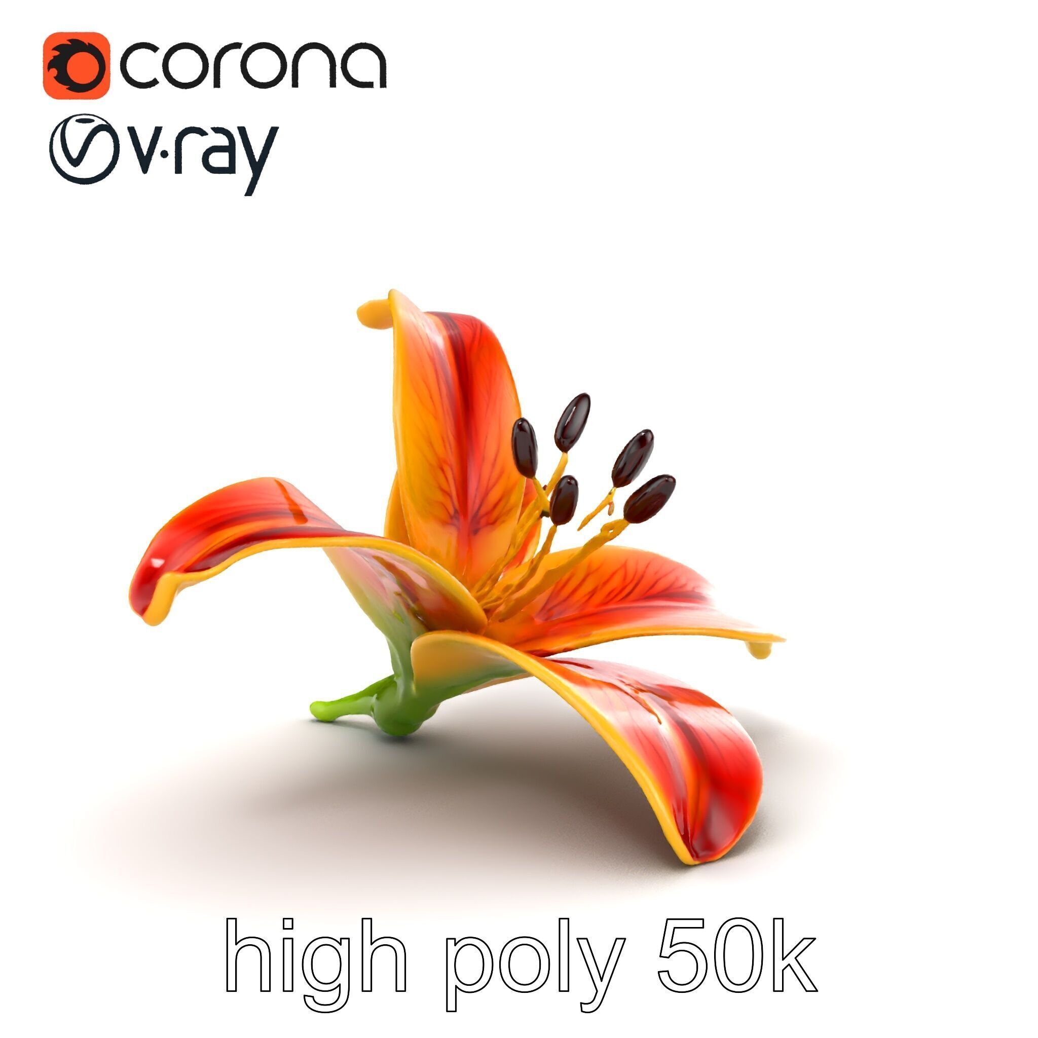 Vibrant Asiatique Lily Flower 3D model pack Low-poly 3D model_15