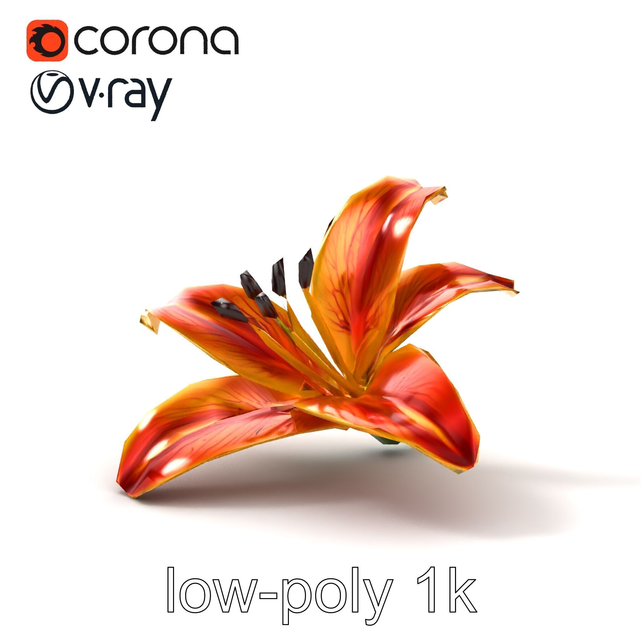 Vibrant Asiatique Lily Flower 3D model pack Low-poly 3D model_11