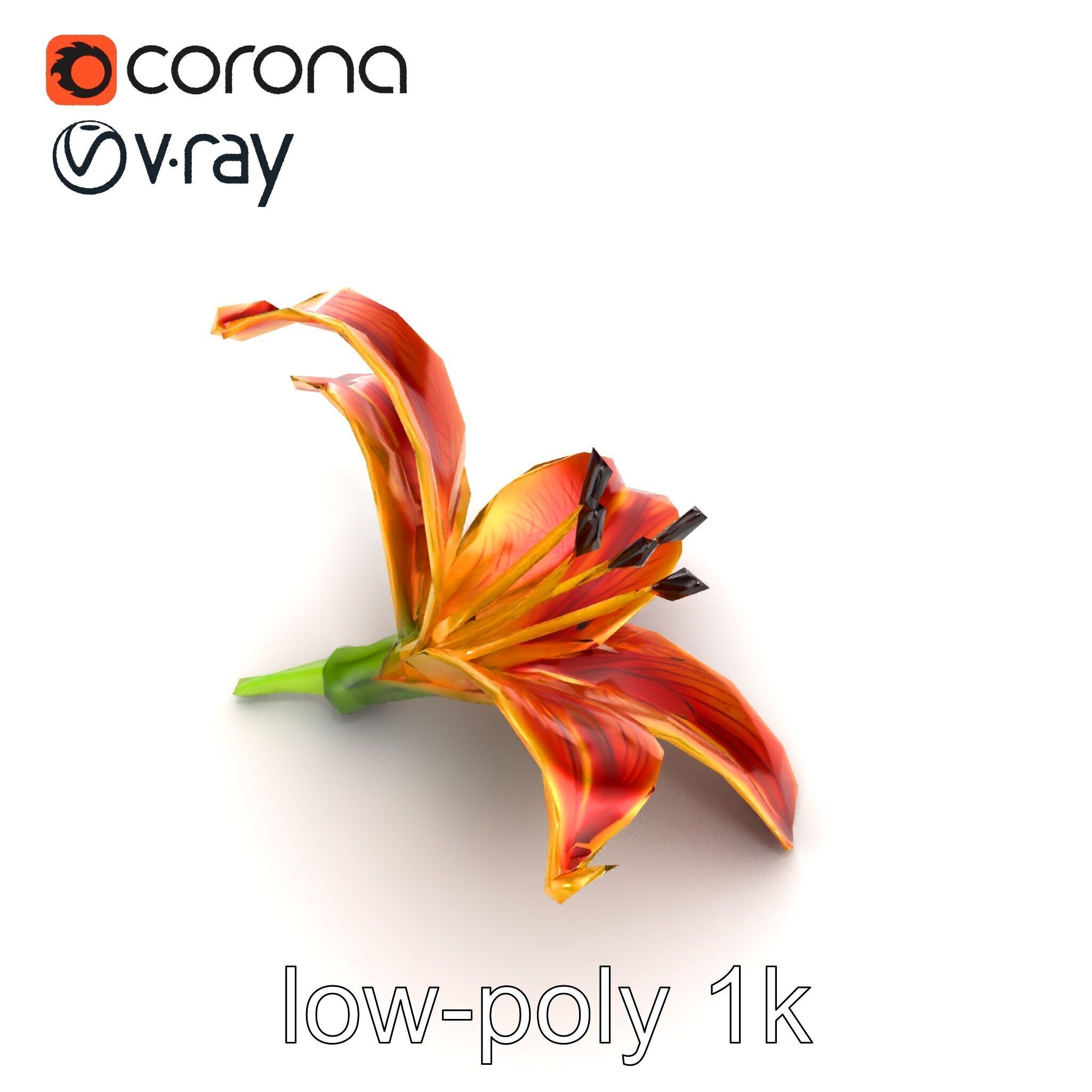 Vibrant Asiatique Lily Flower 3D model pack Low-poly 3D model_27