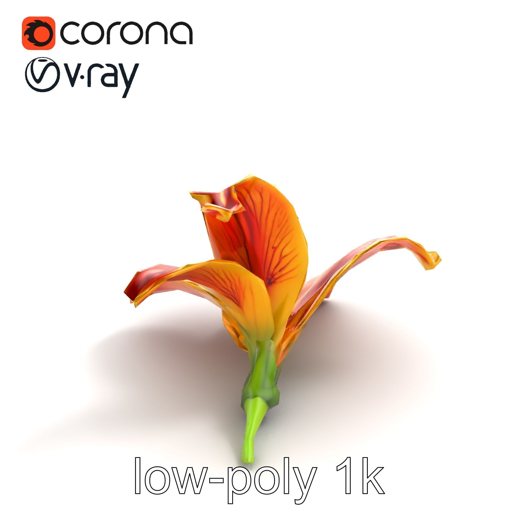 Vibrant Asiatique Lily Flower 3D model pack Low-poly 3D model_8