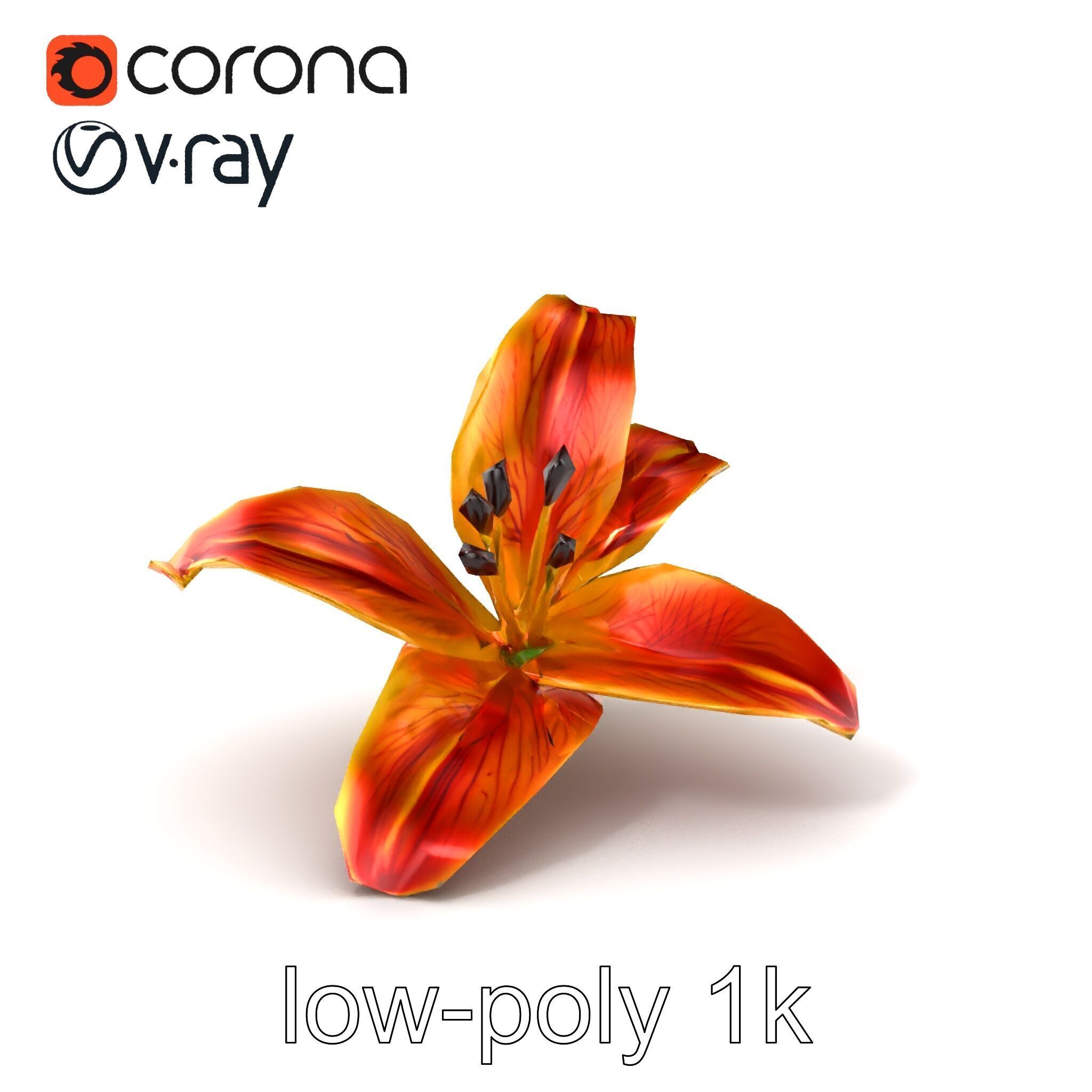 Vibrant Asiatique Lily Flower 3D model pack Low-poly 3D model_4