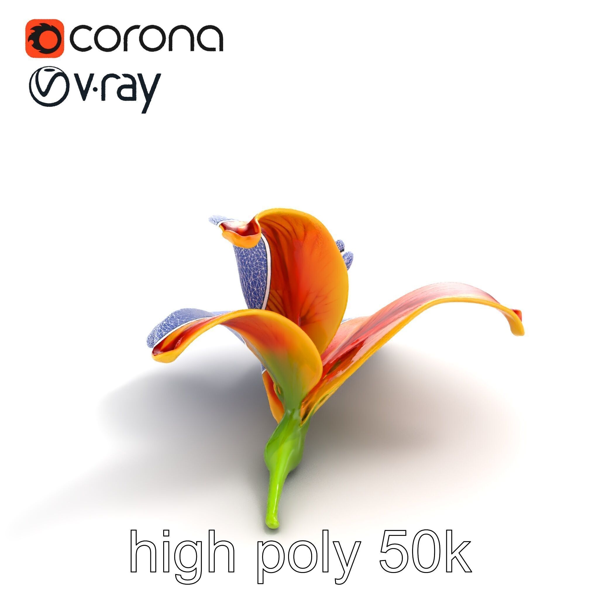Vibrant Asiatique Lily Flower 3D model pack Low-poly 3D model_14