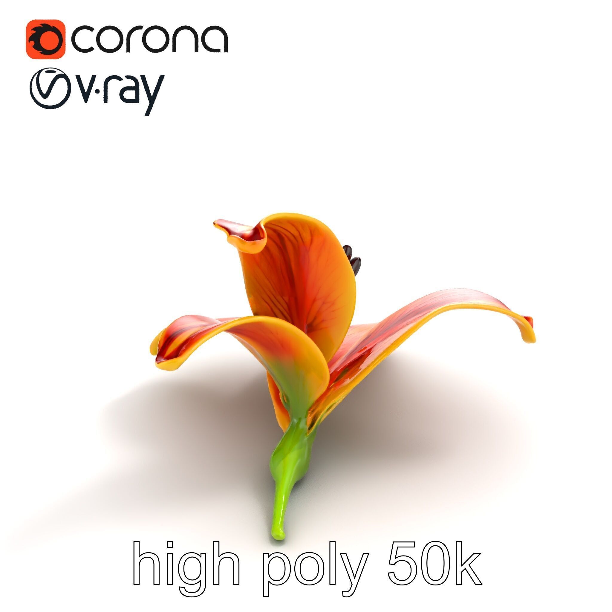 Vibrant Asiatique Lily Flower 3D model pack Low-poly 3D model_9