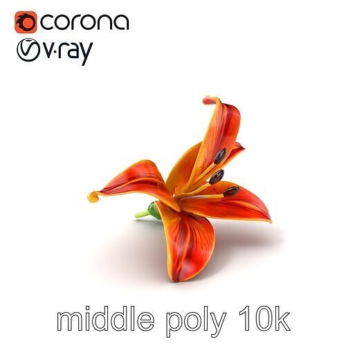 Vibrant Asiatique Lily Flower 3D model pack Low-poly 3D model