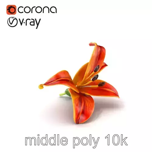 Vibrant Asiatique Lily Flower 3D model pack Low-poly 3D model Vibrant Asiatique Lily Flower 3D model pack Low-poly 3D model