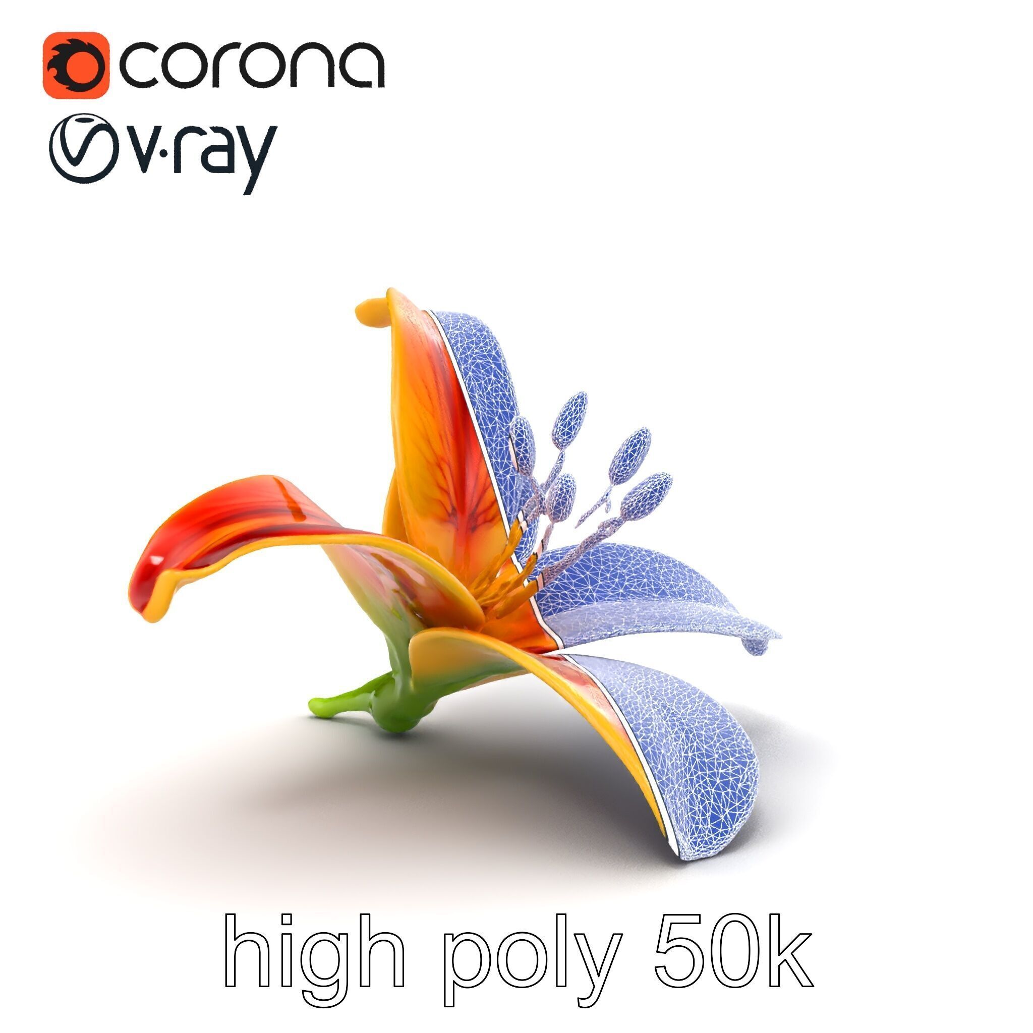 Vibrant Asiatique Lily Flower 3D model pack Low-poly 3D model_18