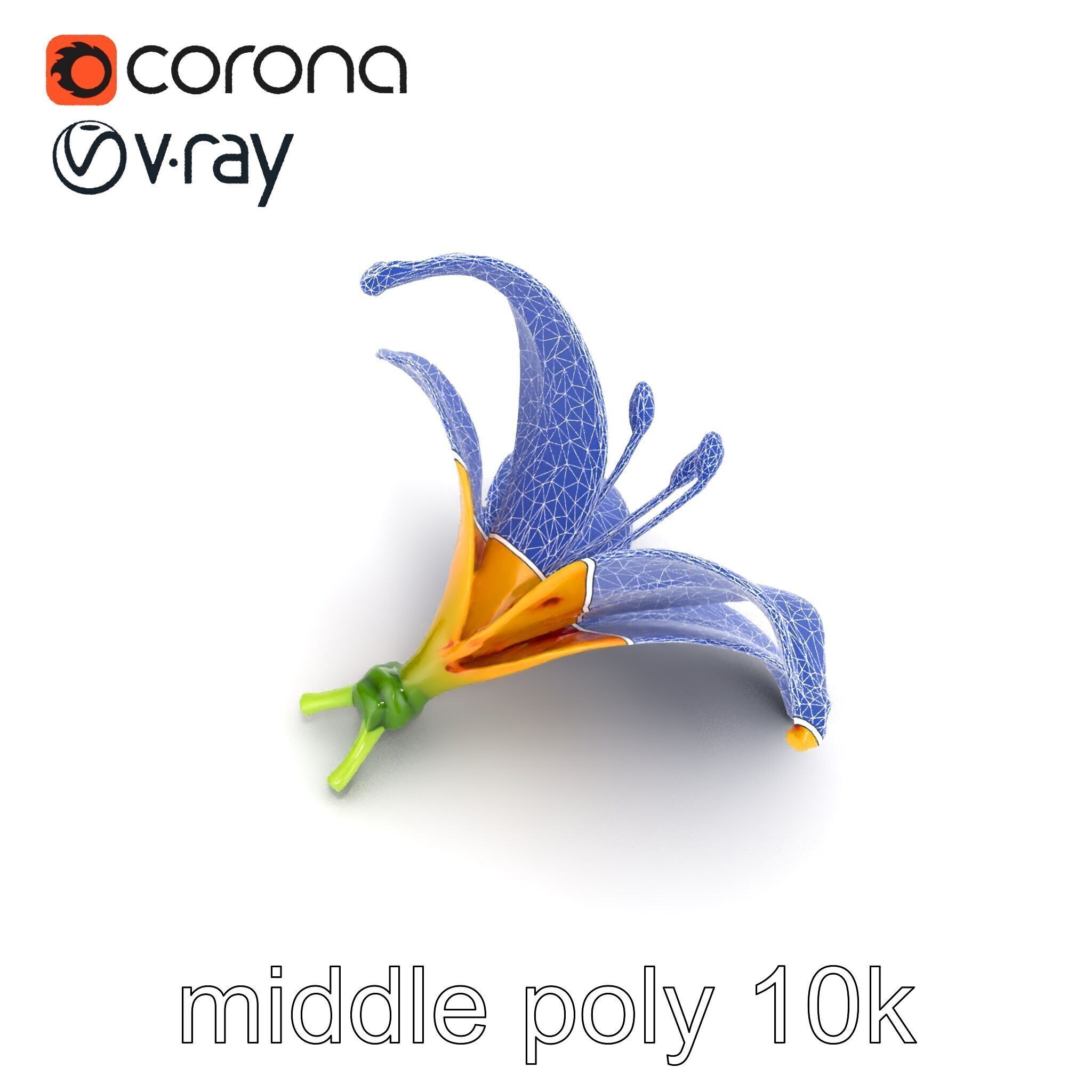 Vibrant Asiatique Lily Flower 3D model pack Low-poly 3D model_22