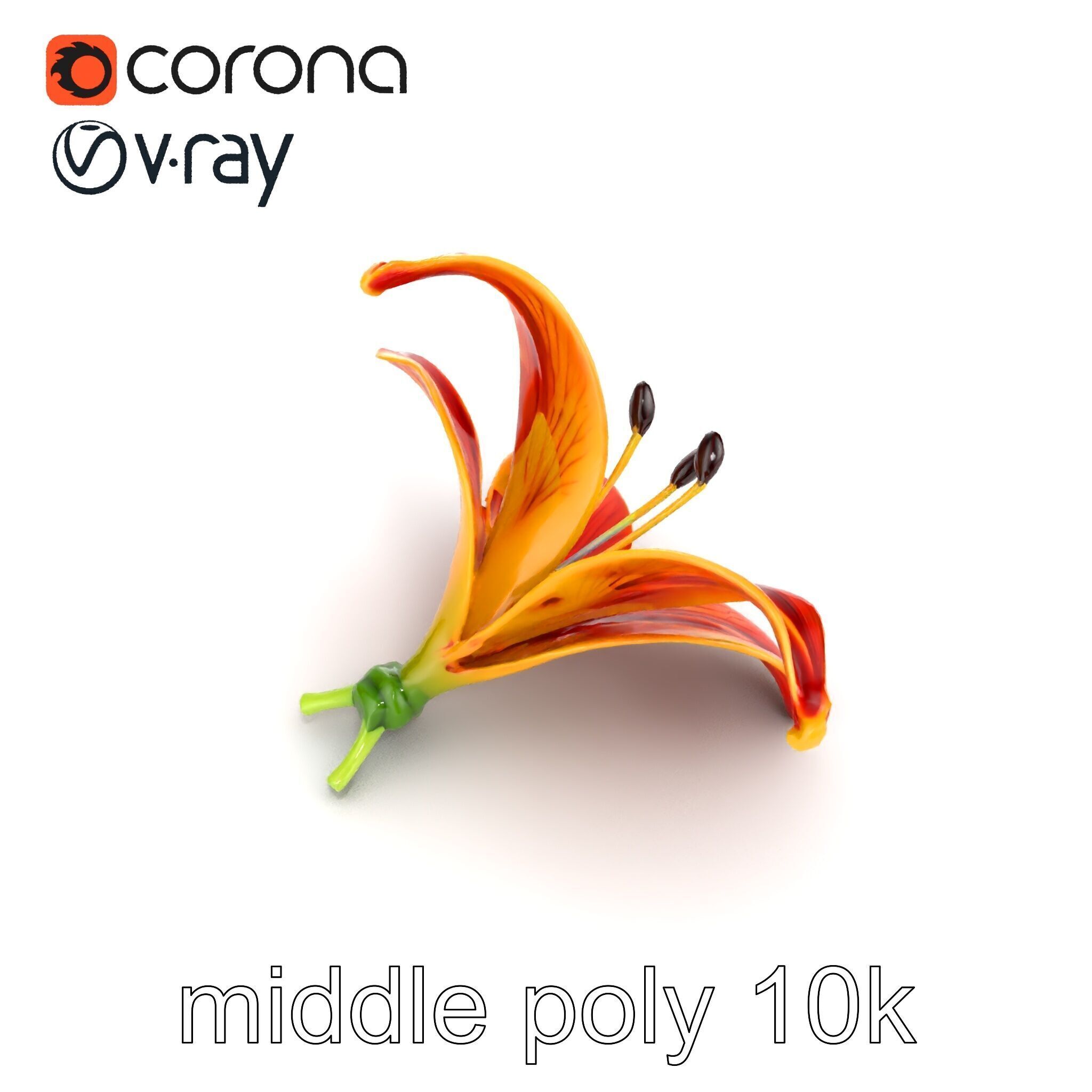 Vibrant Asiatique Lily Flower 3D model pack Low-poly 3D model_12