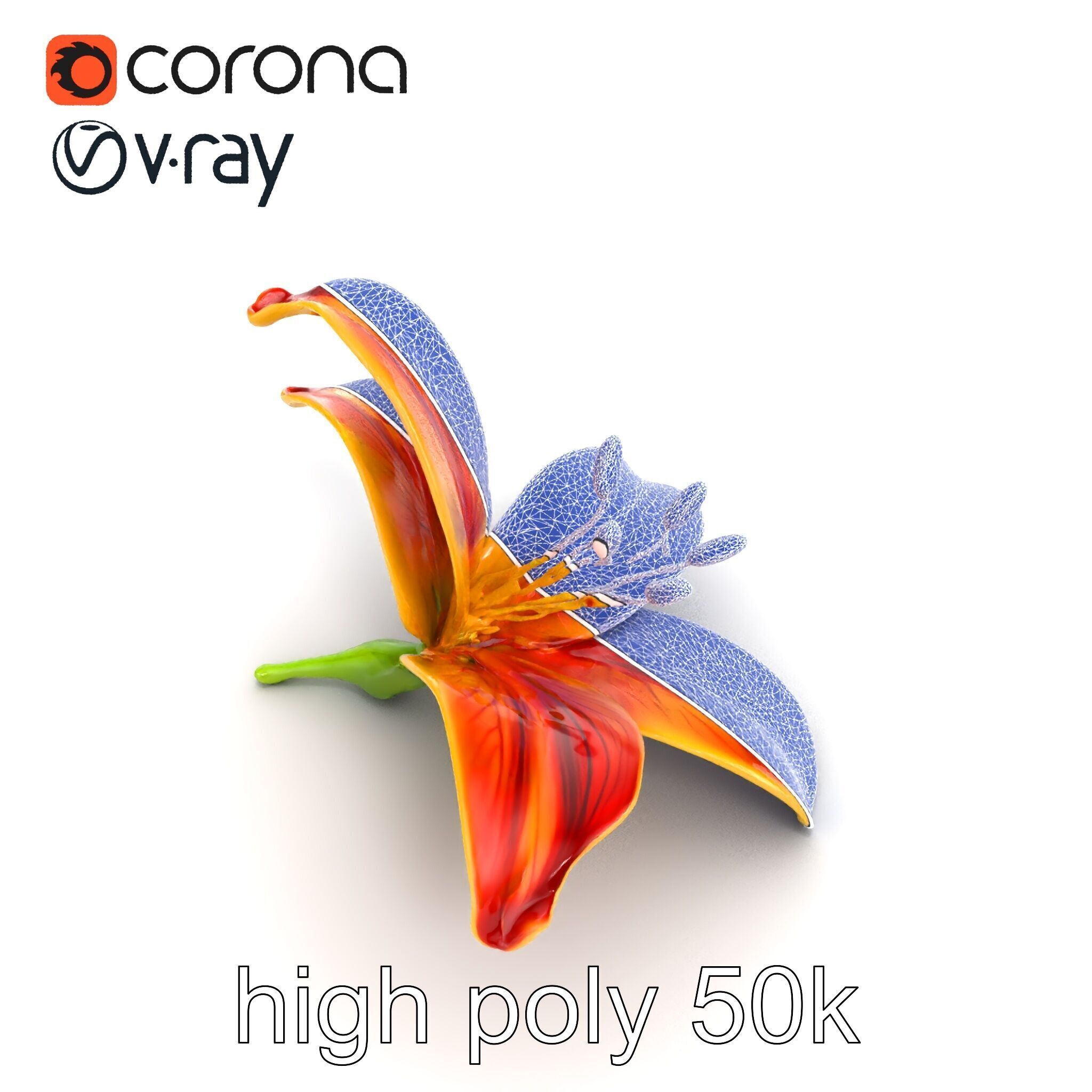 Vibrant Asiatique Lily Flower 3D model pack Low-poly 3D model_21