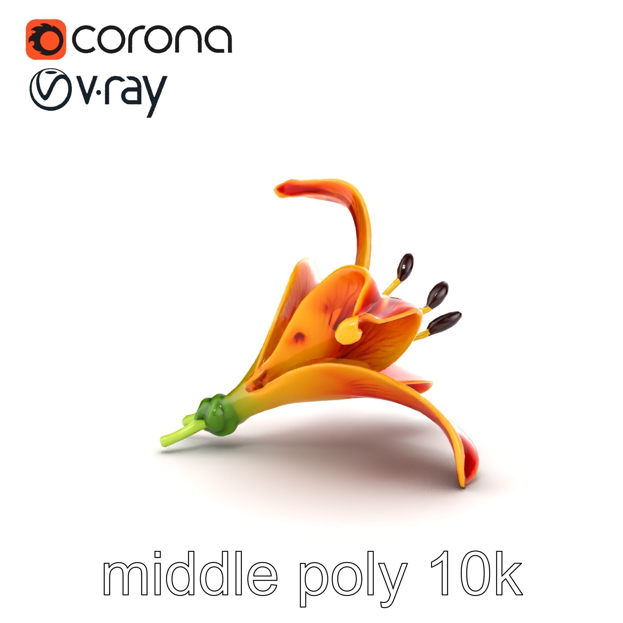 Vibrant Asiatique Lily Flower 3D model pack Low-poly 3D model_17