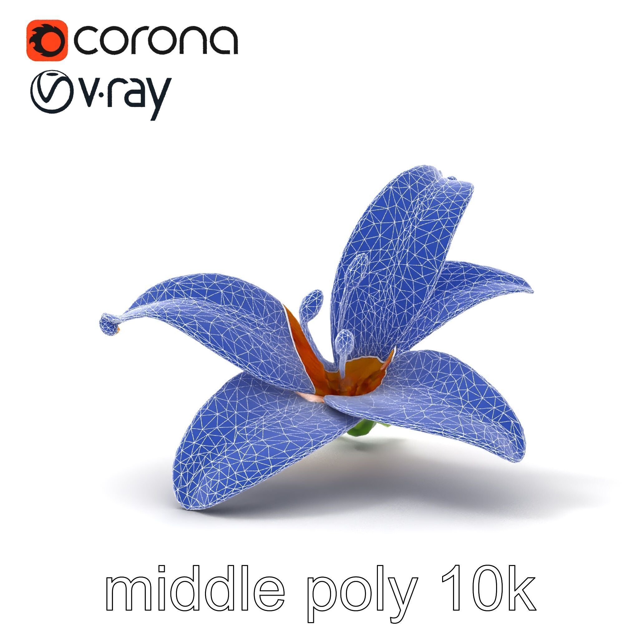 Vibrant Asiatique Lily Flower 3D model pack Low-poly 3D model_20