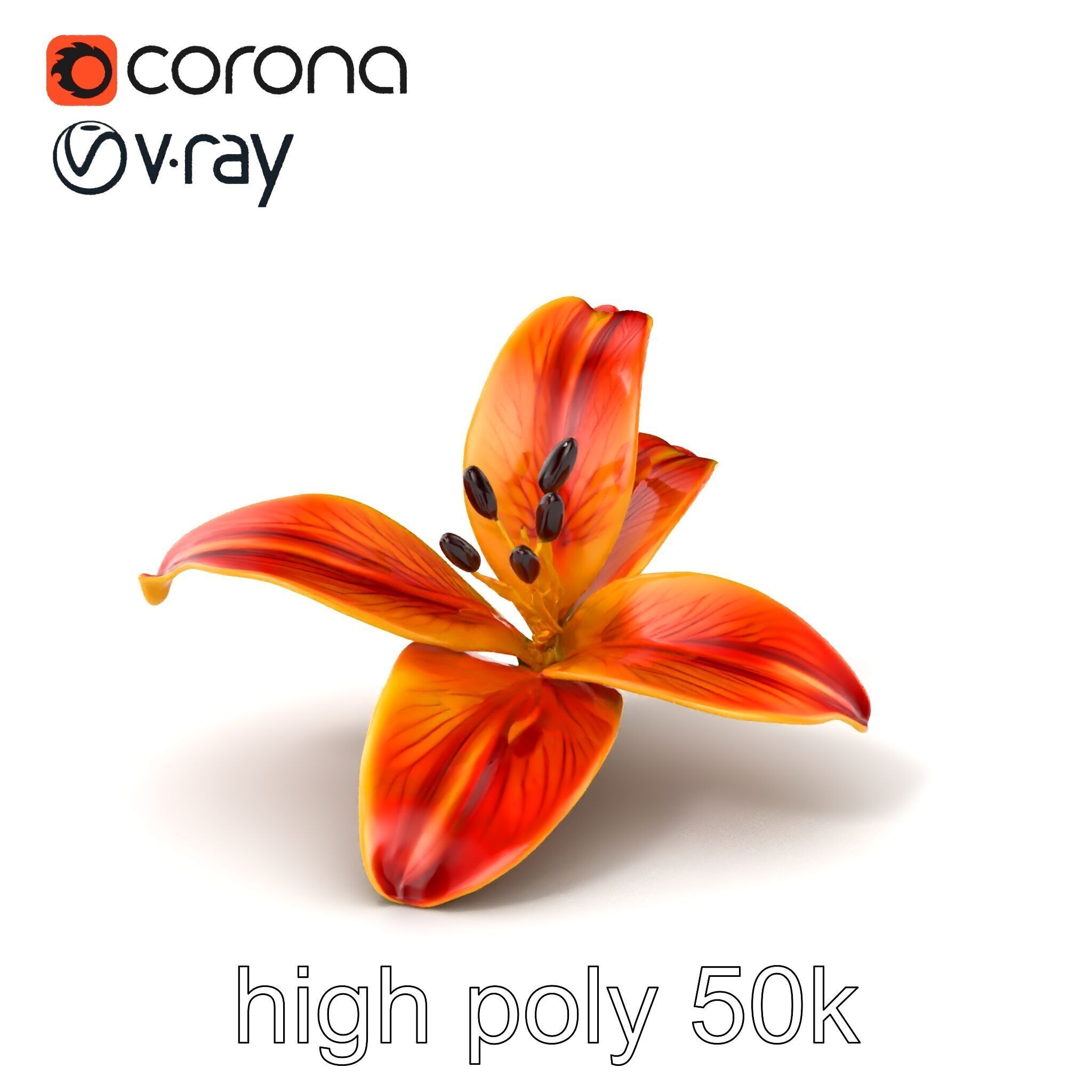 Vibrant Asiatique Lily Flower 3D model pack Low-poly 3D model_2