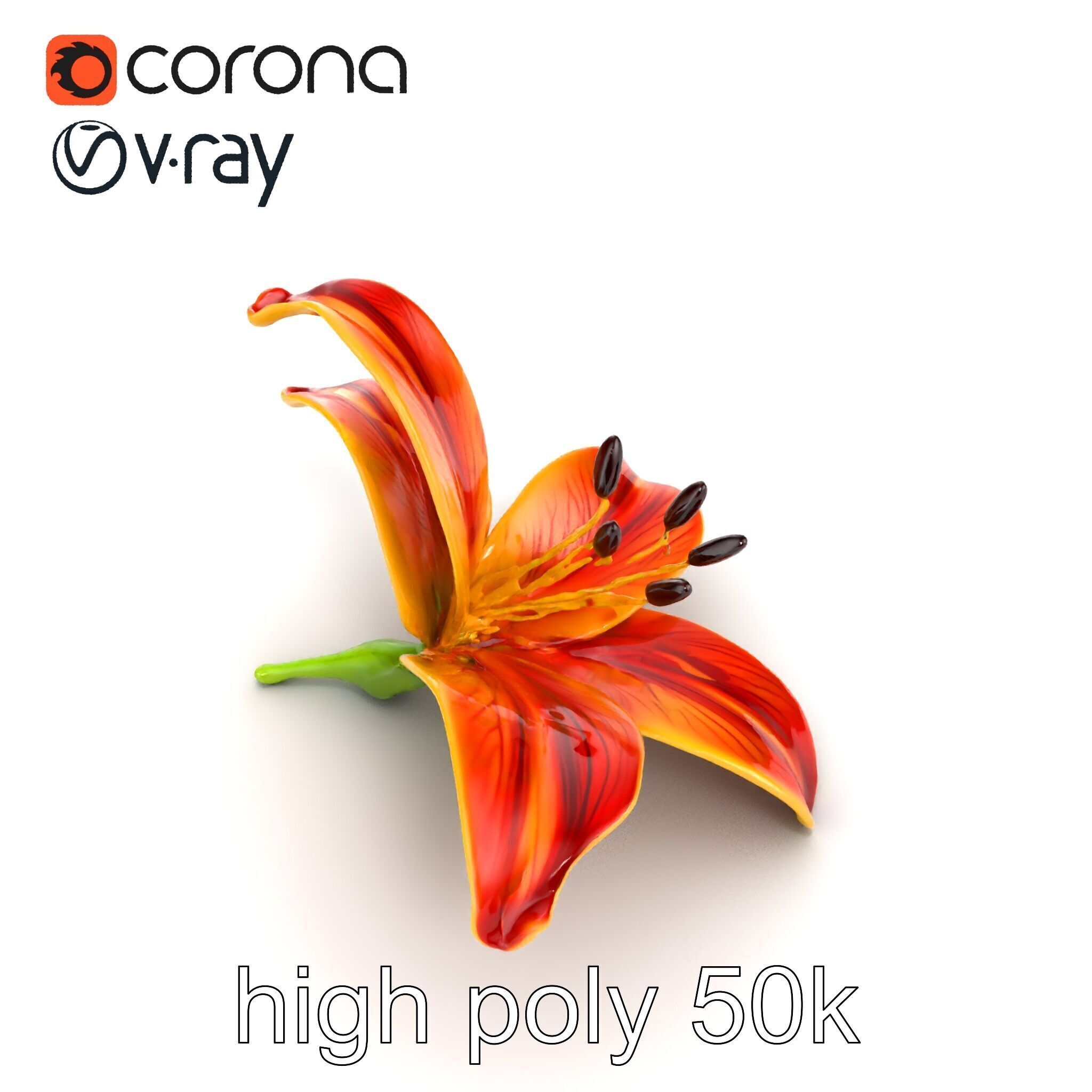 Vibrant Asiatique Lily Flower 3D model pack Low-poly 3D model_16