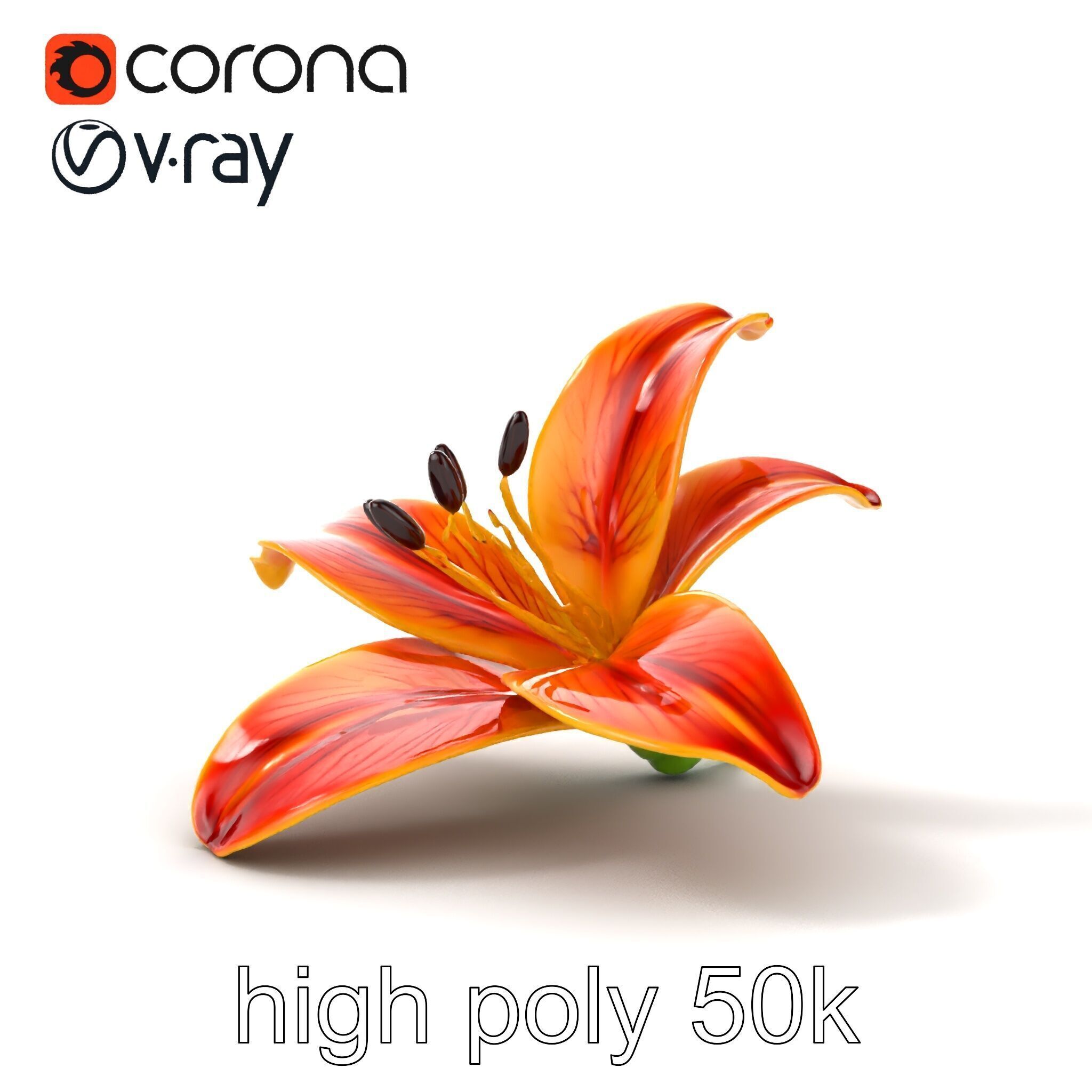 Vibrant Asiatique Lily Flower 3D model pack Low-poly 3D model_26