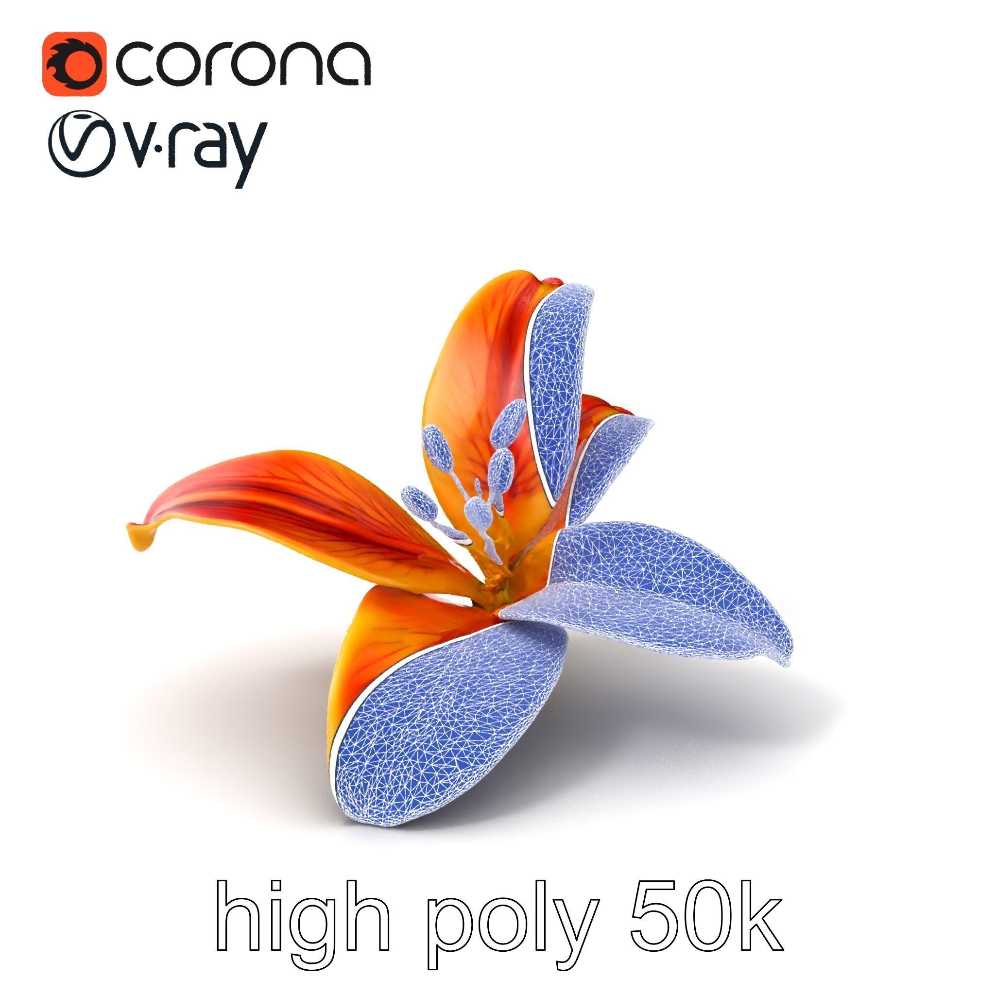 Vibrant Asiatique Lily Flower 3D model pack Low-poly 3D model_1