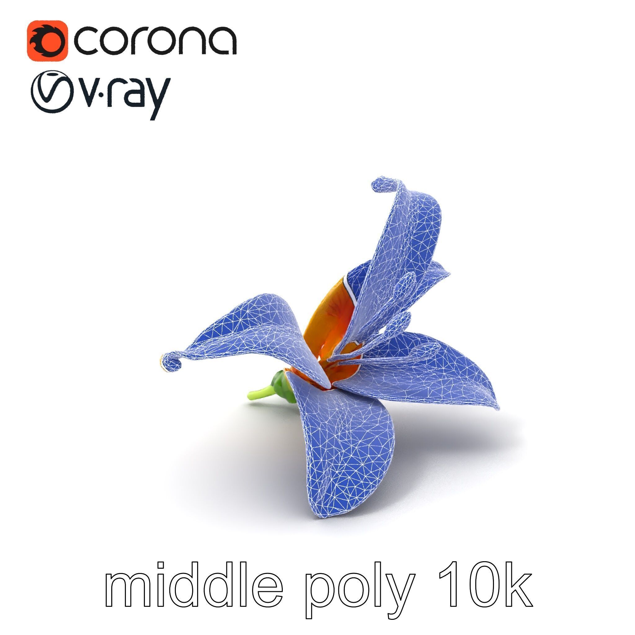 Vibrant Asiatique Lily Flower 3D model pack Low-poly 3D model_5