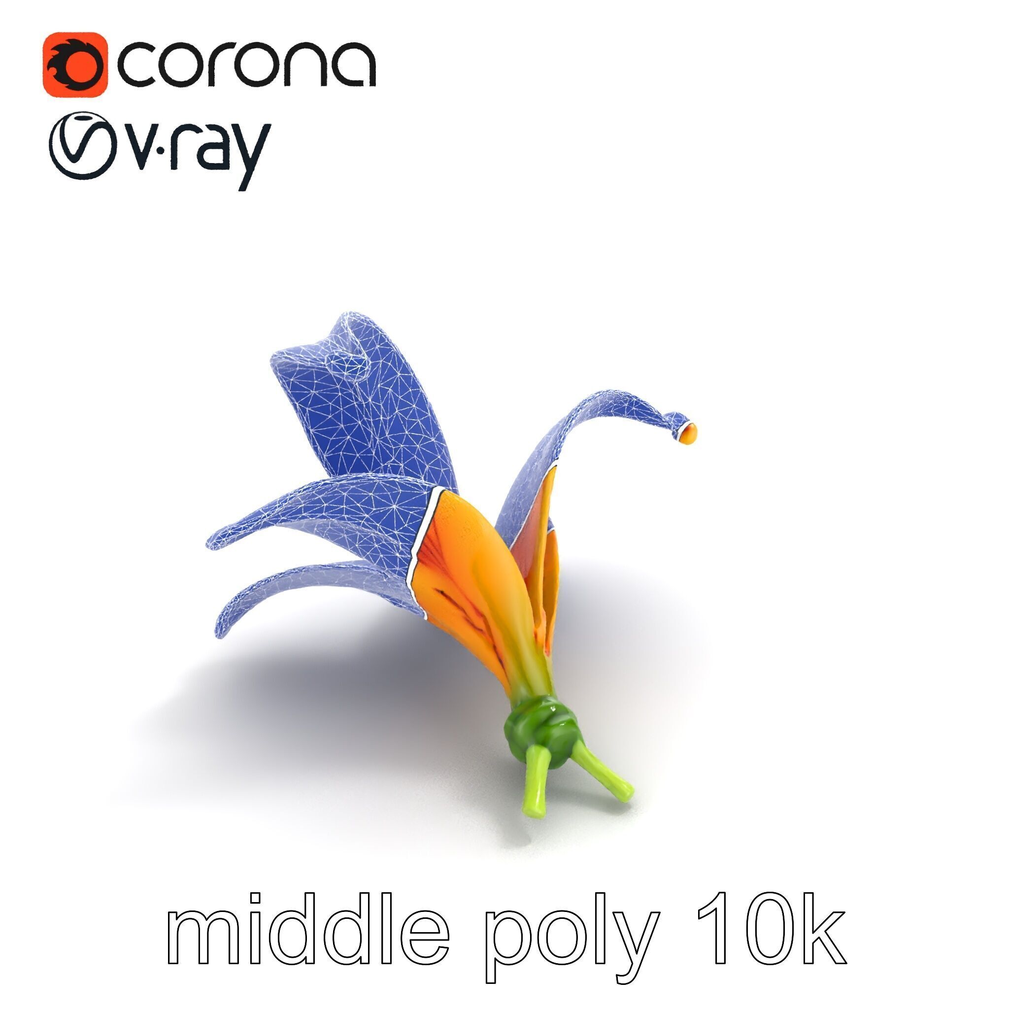 Vibrant Asiatique Lily Flower 3D model pack Low-poly 3D model_23