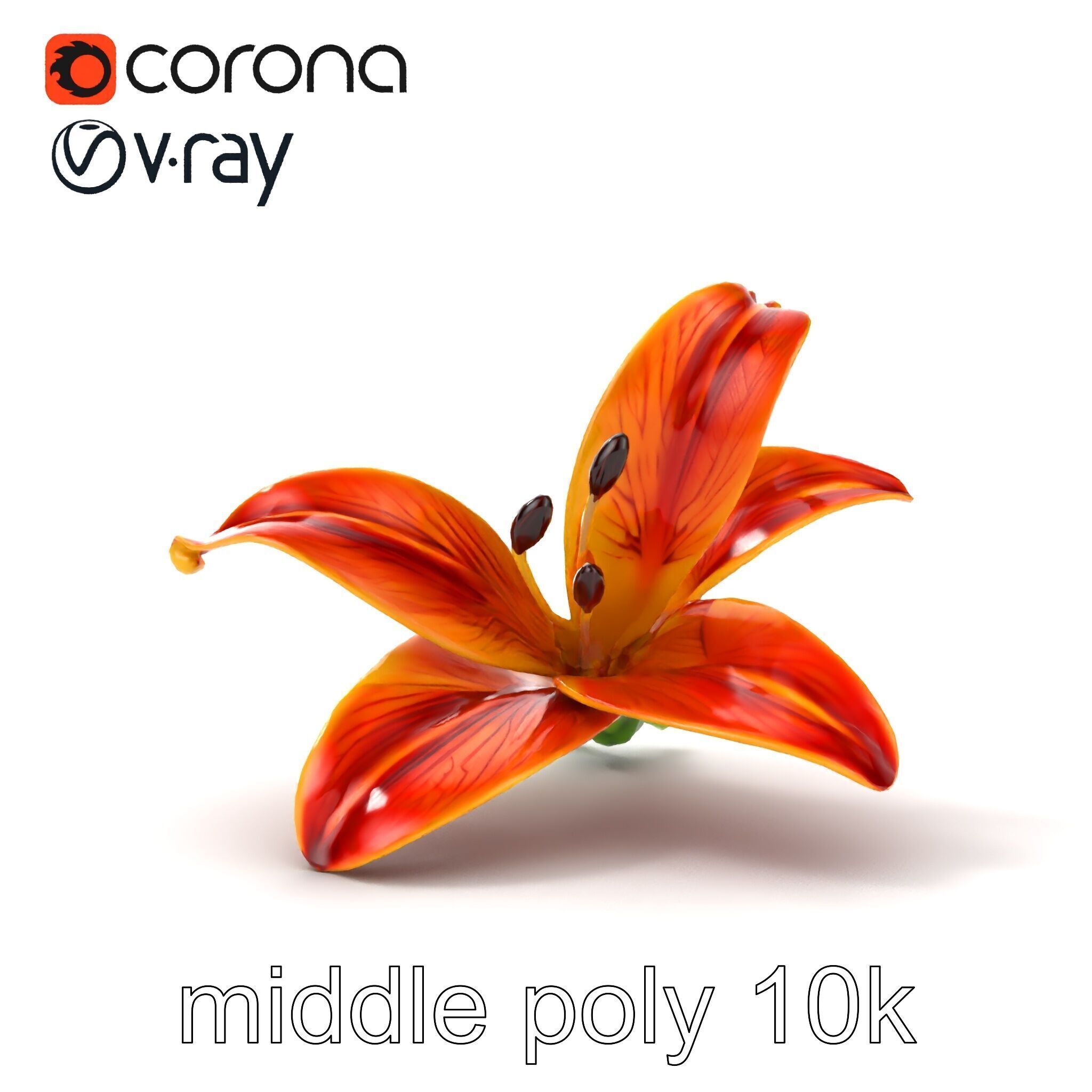 Vibrant Asiatique Lily Flower 3D model pack Low-poly 3D model_10