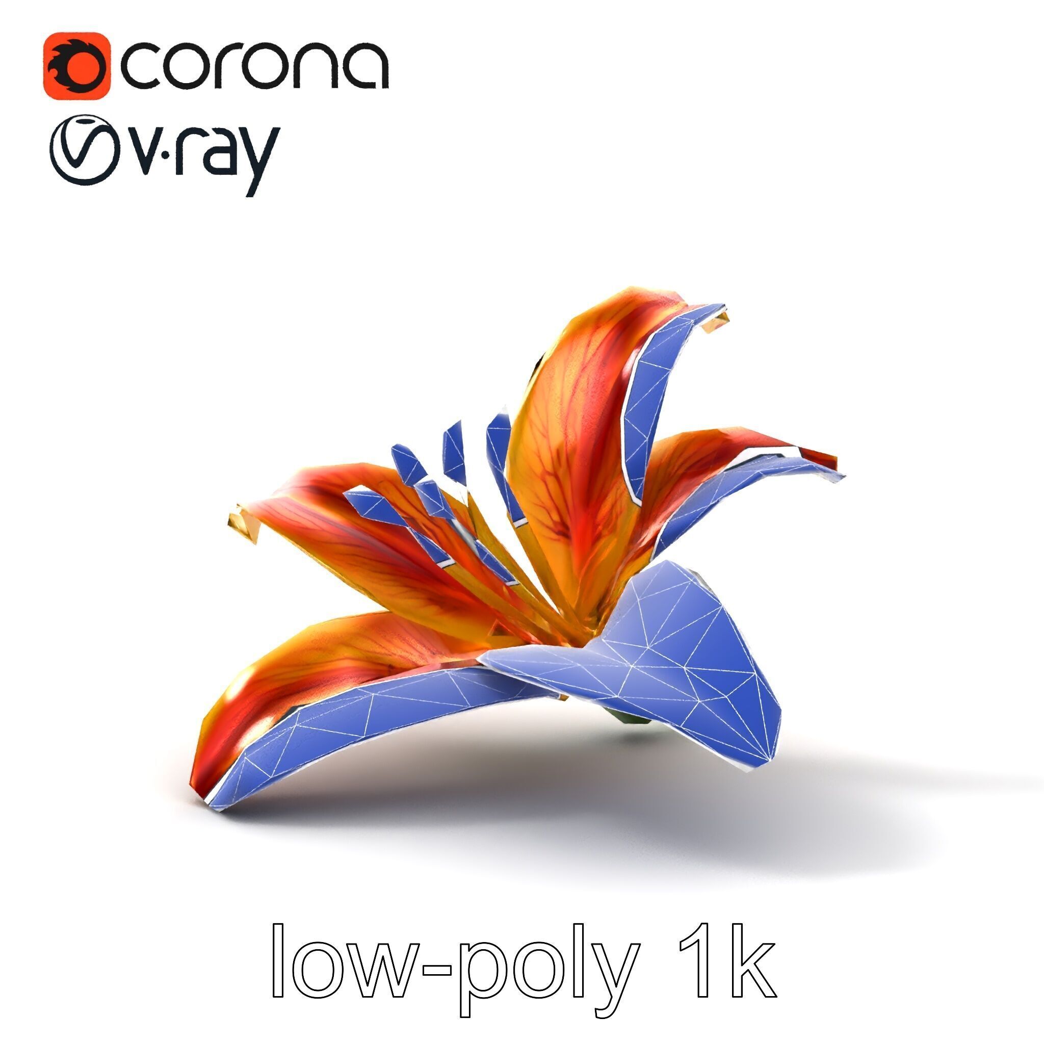 Vibrant Asiatique Lily Flower 3D model pack Low-poly 3D model_13