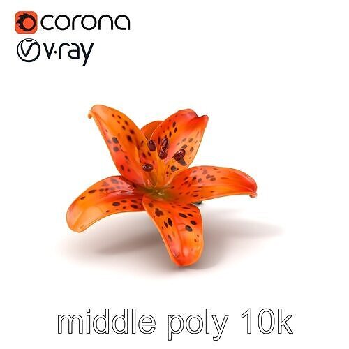 Leopard Lily Botanical Floral Sculpture model pack Low-poly 3D model