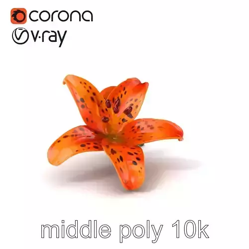Leopard Lily Botanical Floral Sculpture model pack Low-poly 3D model Leopard Lily Botanical Floral Sculpture model pack Low-poly 3D model