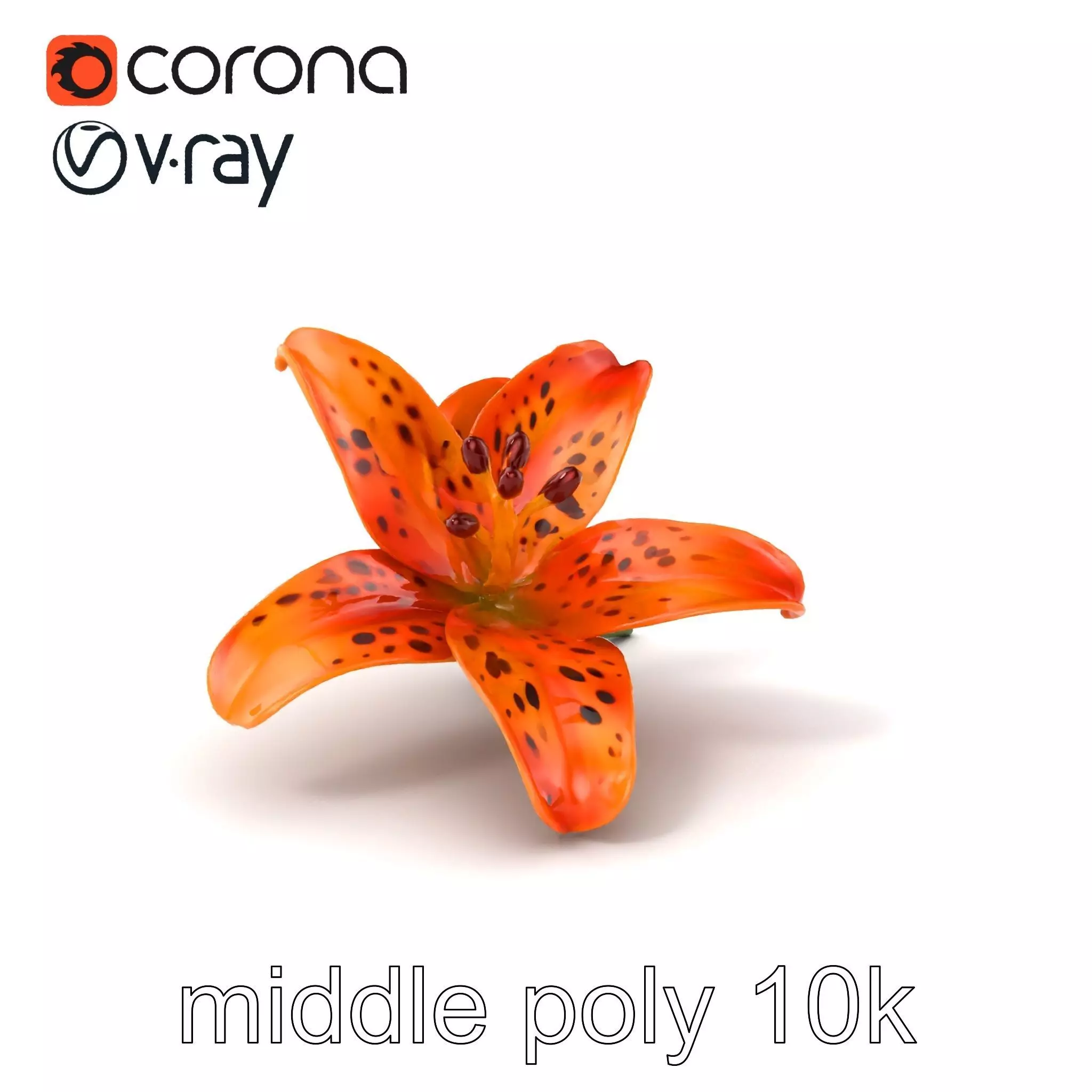 Leopard Lily Botanical Floral Sculpture model pack Low-poly 3D model_0