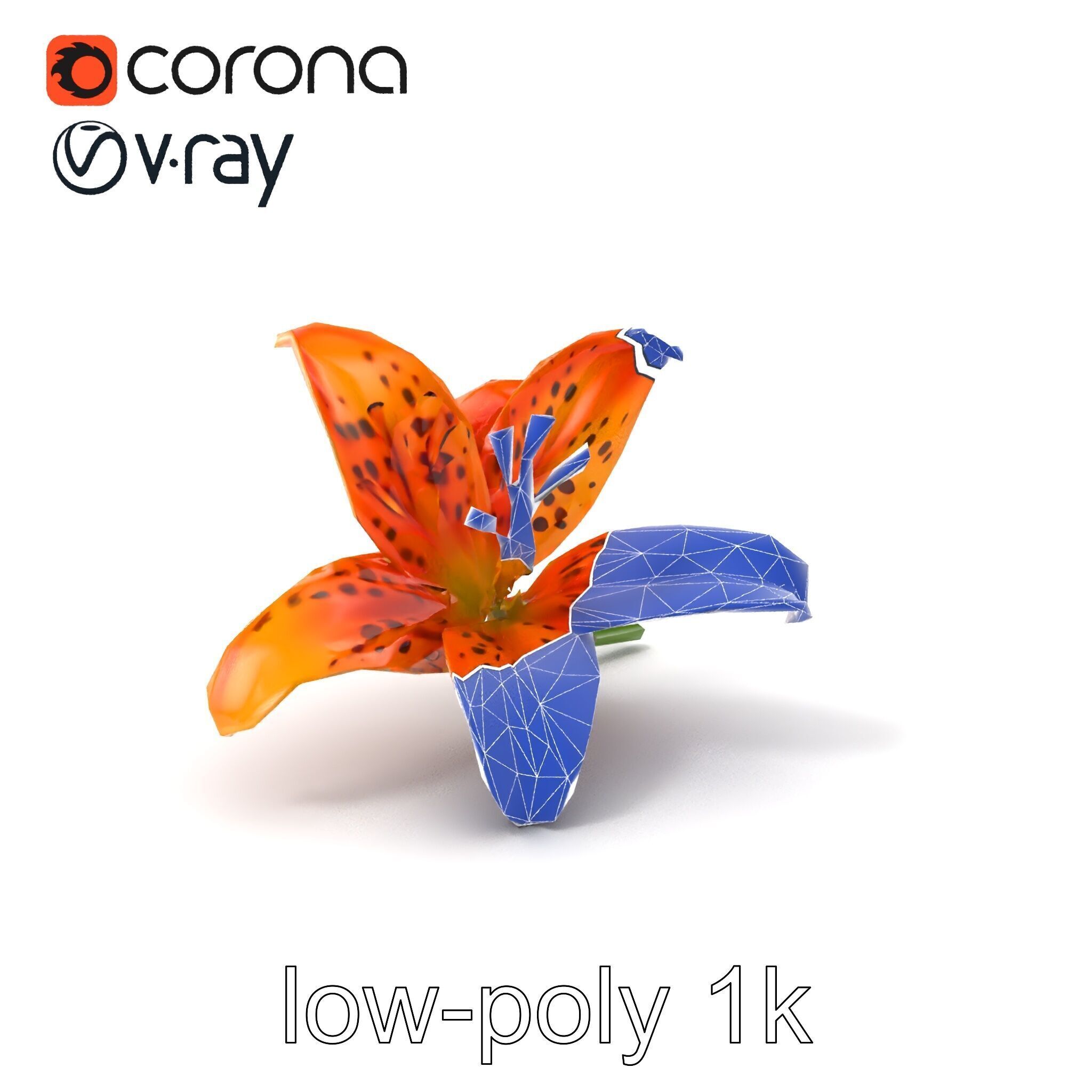 Leopard Lily Botanical Floral Sculpture model pack Low-poly 3D model_6