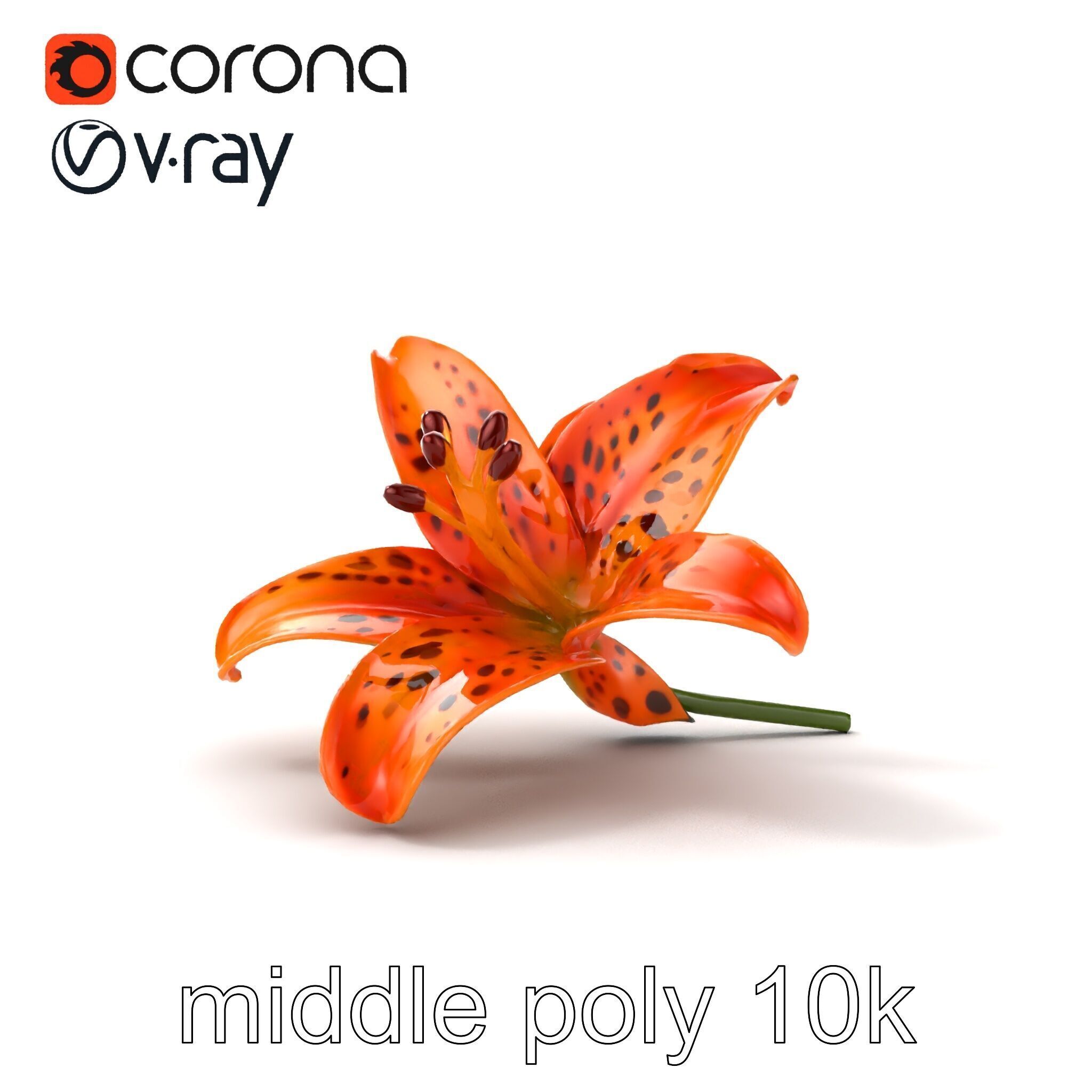 Leopard Lily Botanical Floral Sculpture model pack Low-poly 3D model_11