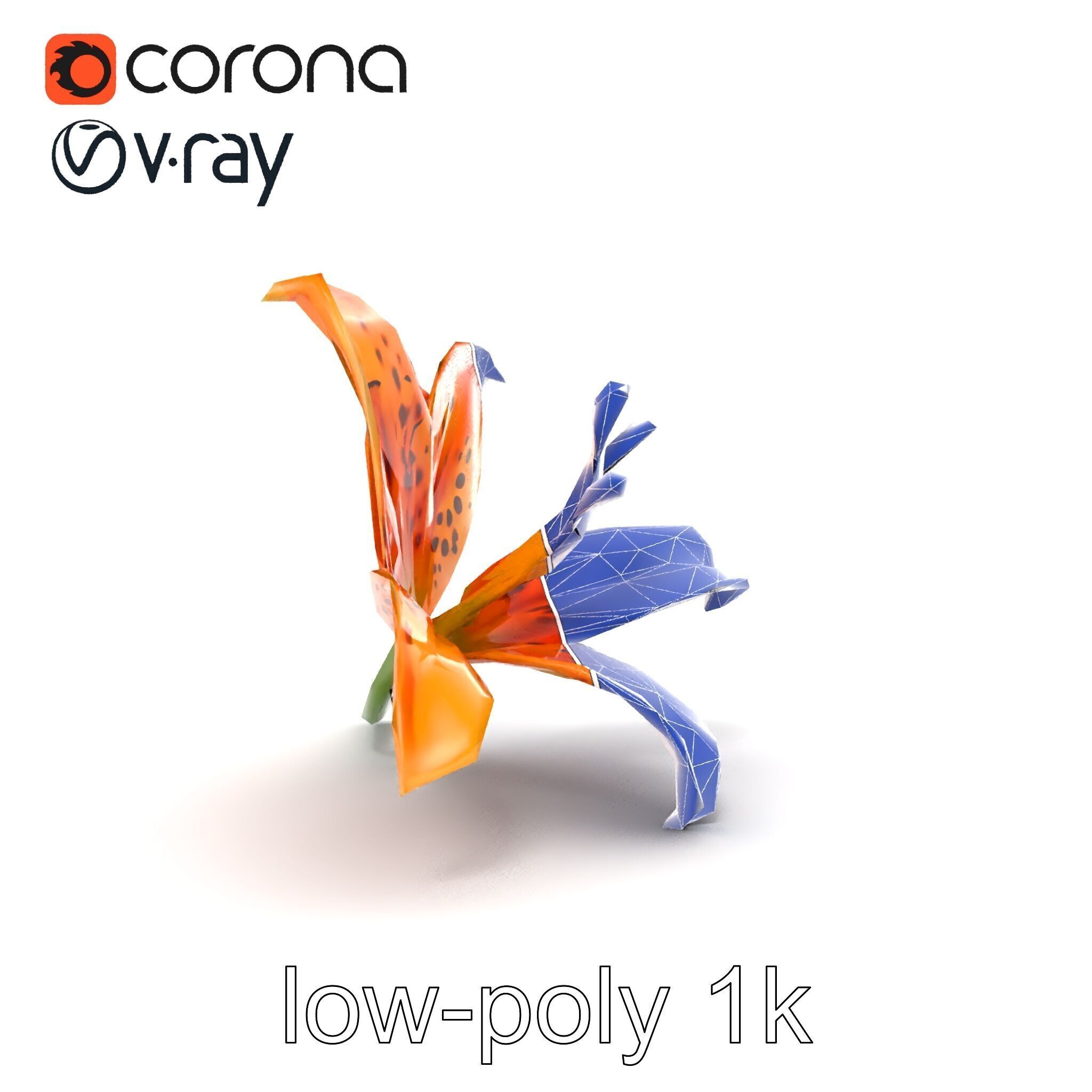 Leopard Lily Botanical Floral Sculpture model pack Low-poly 3D model_13