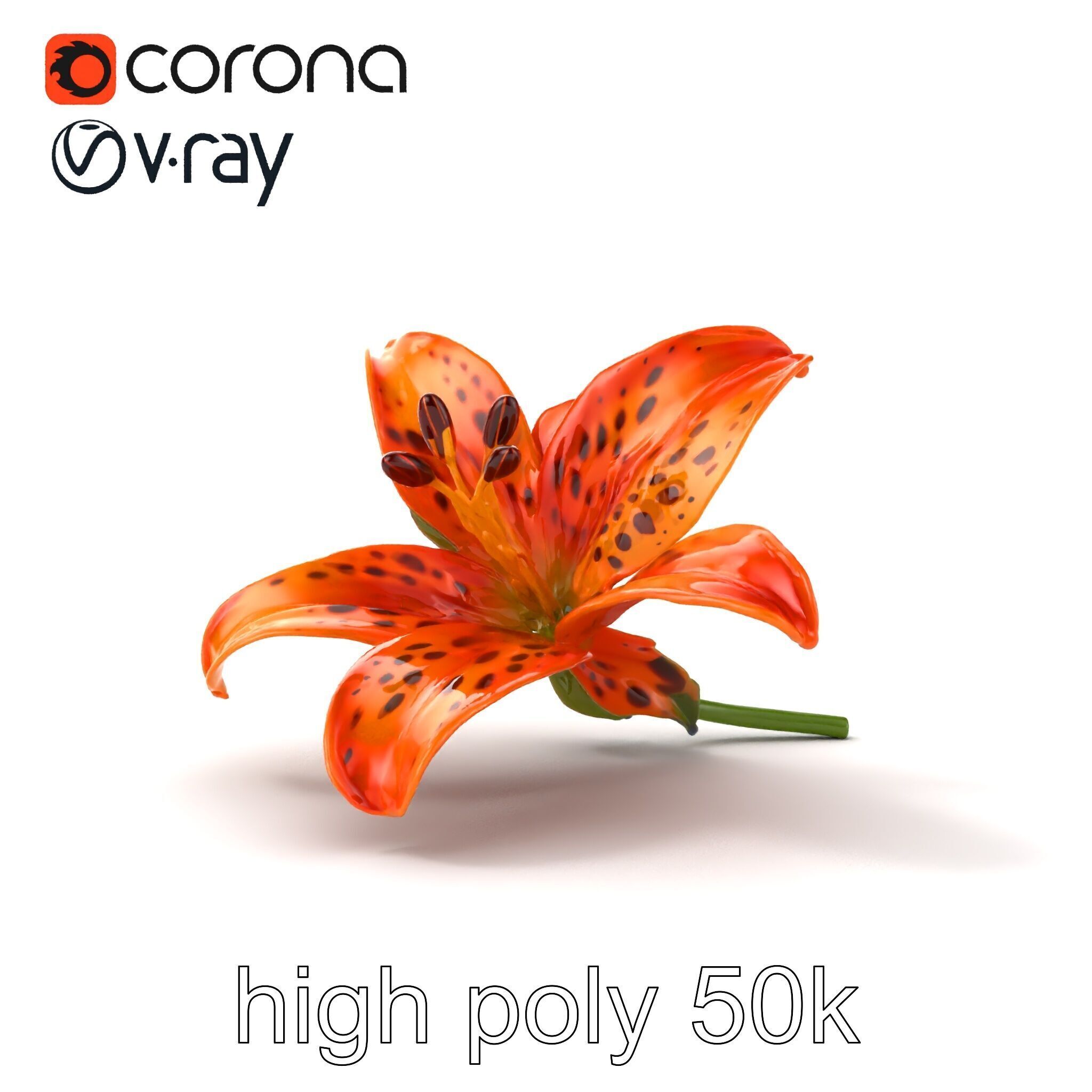 Leopard Lily Botanical Floral Sculpture model pack Low-poly 3D model_22