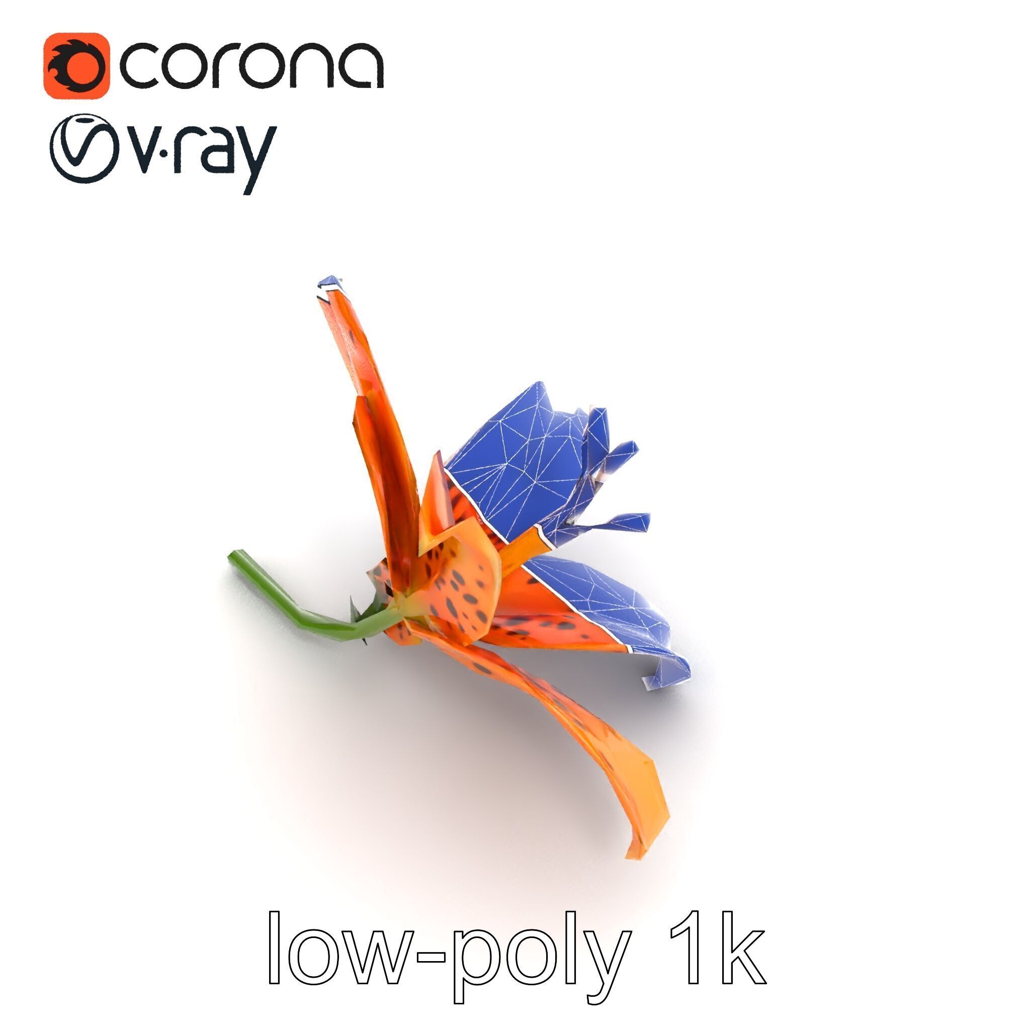 Leopard Lily Botanical Floral Sculpture model pack Low-poly 3D model_29