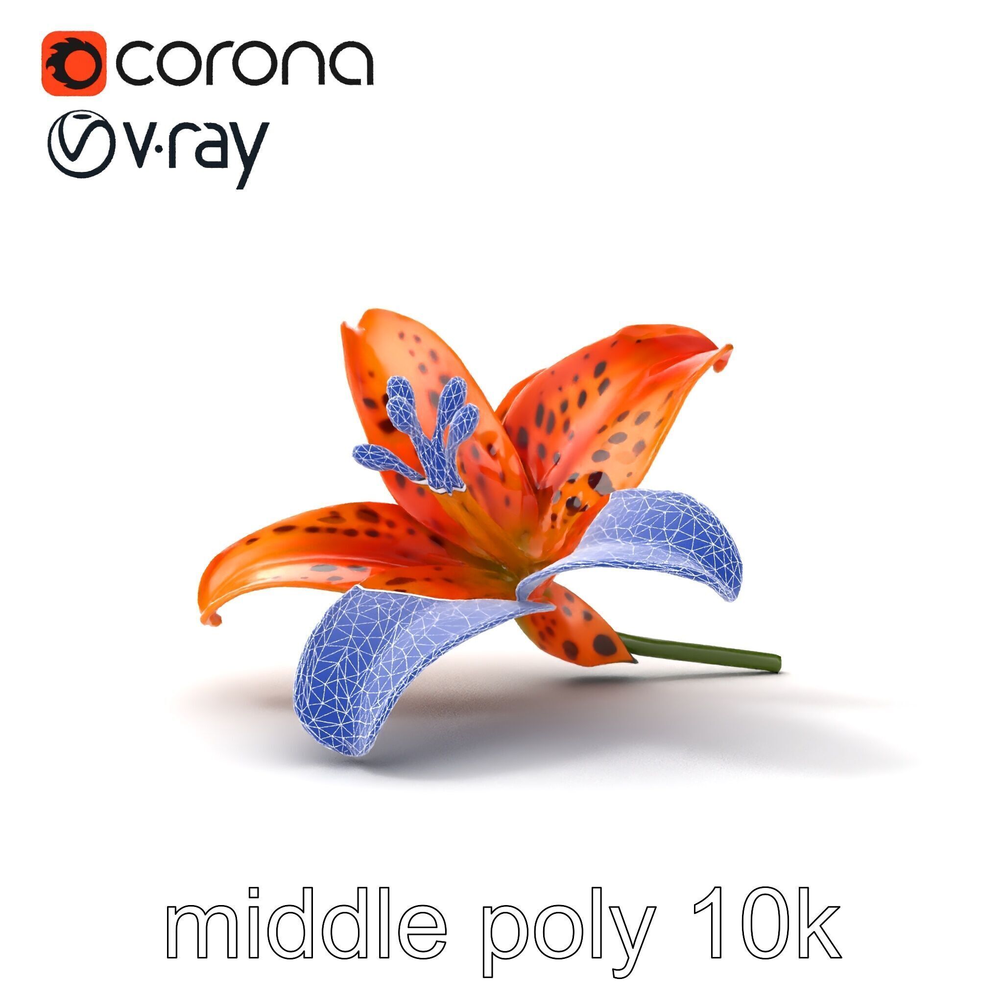 Leopard Lily Botanical Floral Sculpture model pack Low-poly 3D model_15