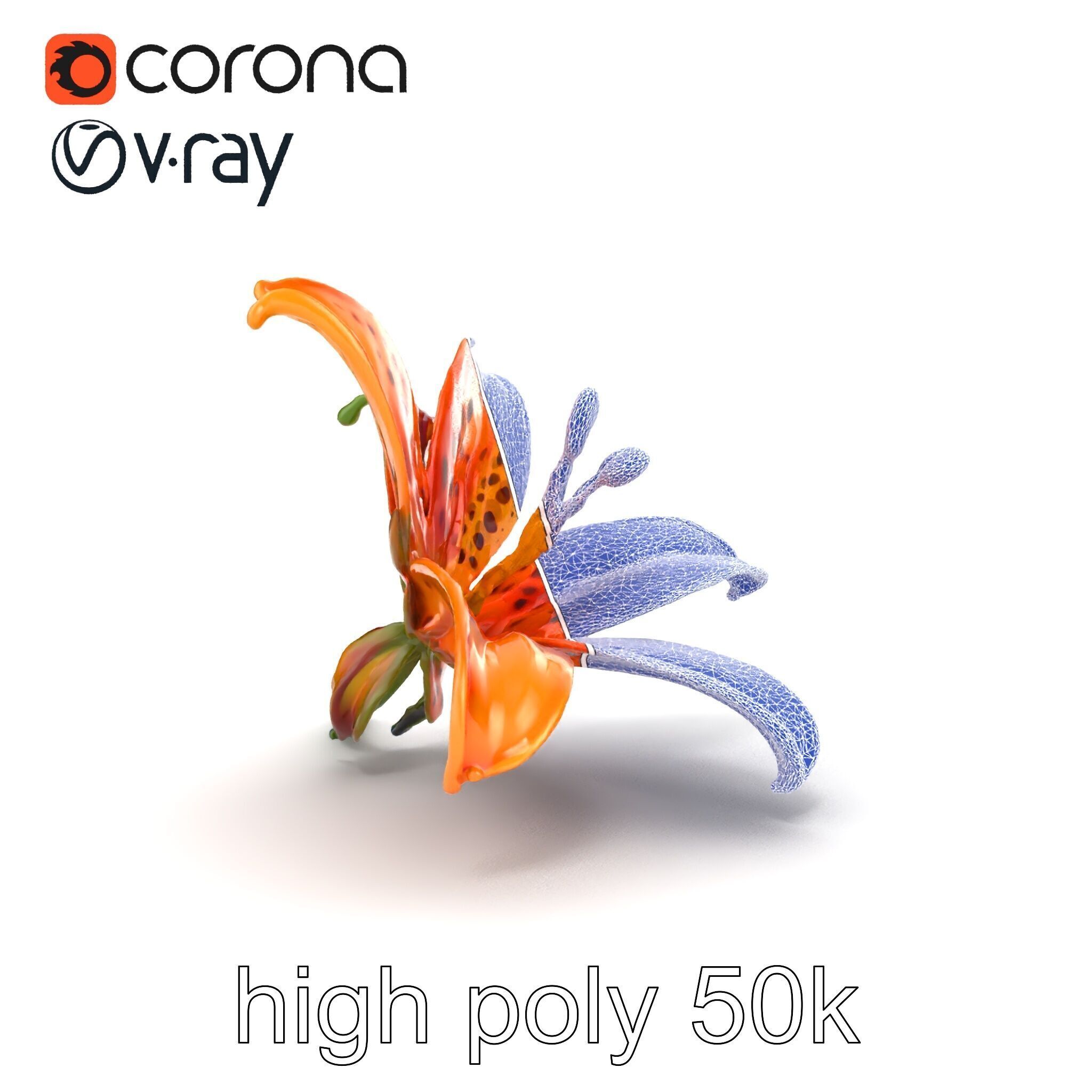 Leopard Lily Botanical Floral Sculpture model pack Low-poly 3D model_26