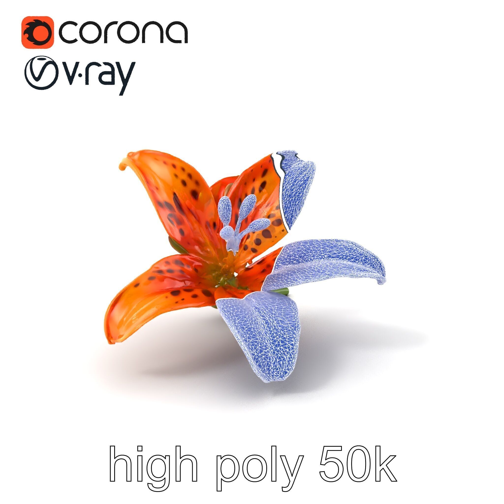 Leopard Lily Botanical Floral Sculpture model pack Low-poly 3D model_1