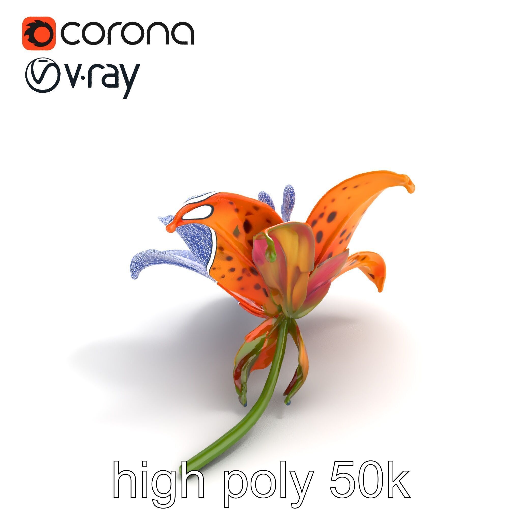 Leopard Lily Botanical Floral Sculpture model pack Low-poly 3D model_28