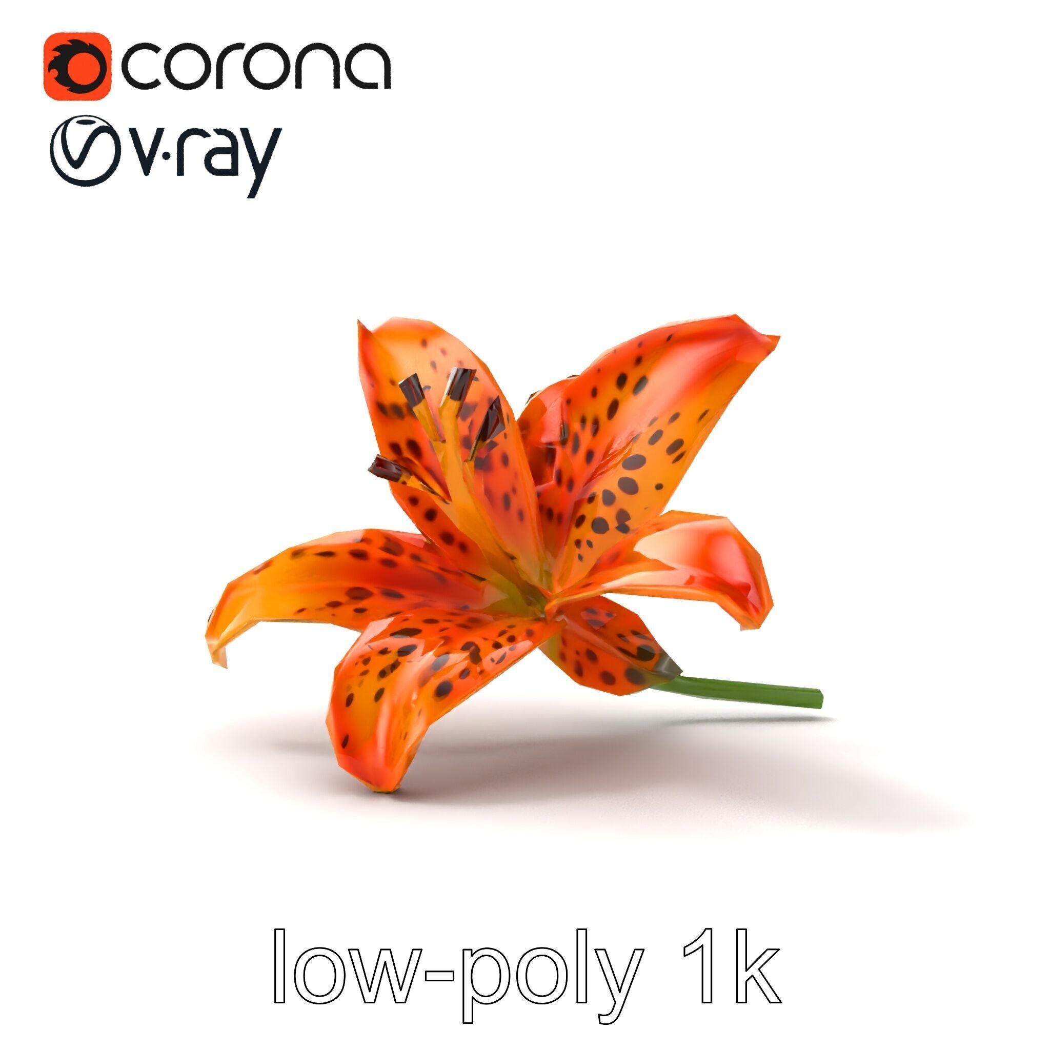 Leopard Lily Botanical Floral Sculpture model pack Low-poly 3D model_24