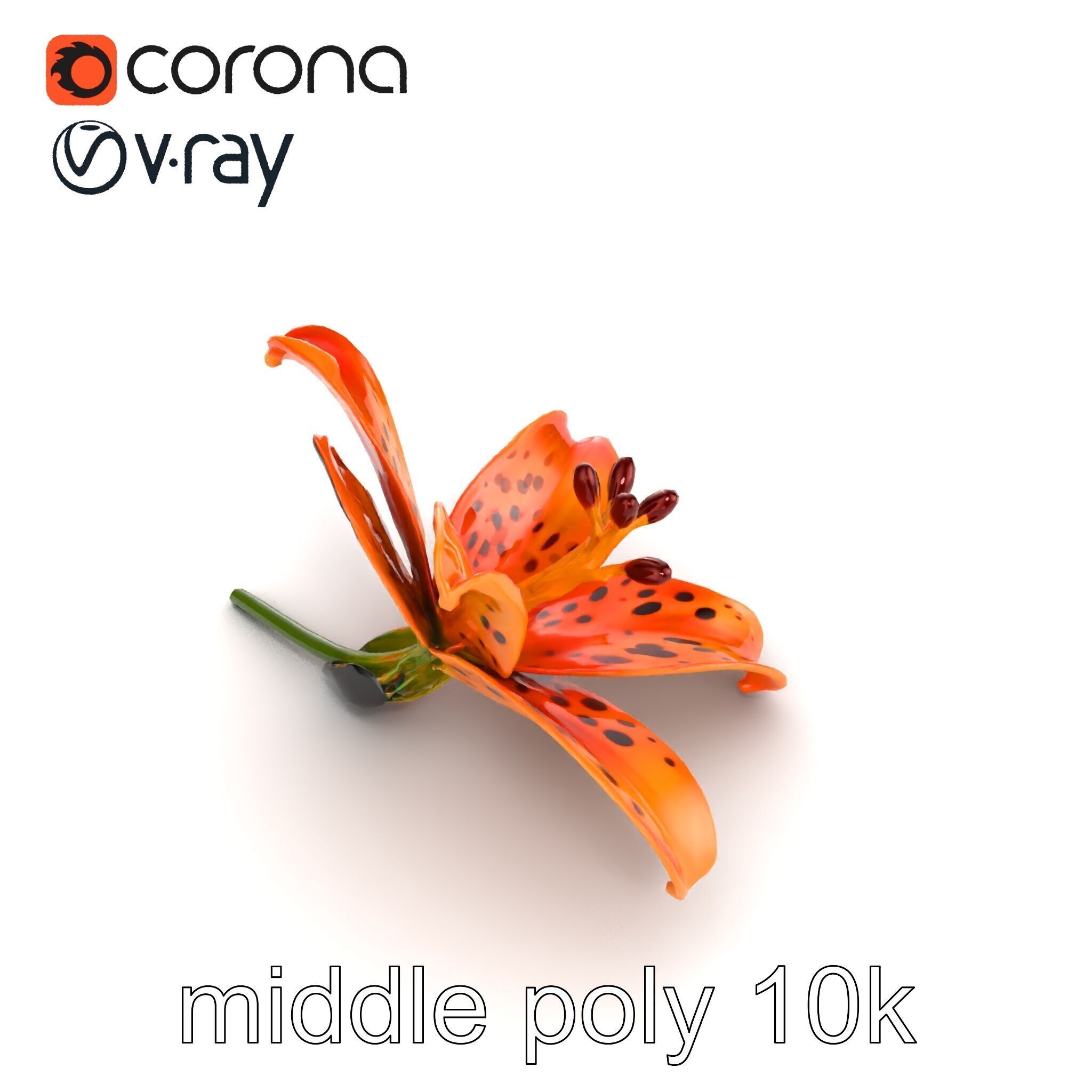 Leopard Lily Botanical Floral Sculpture model pack Low-poly 3D model_25