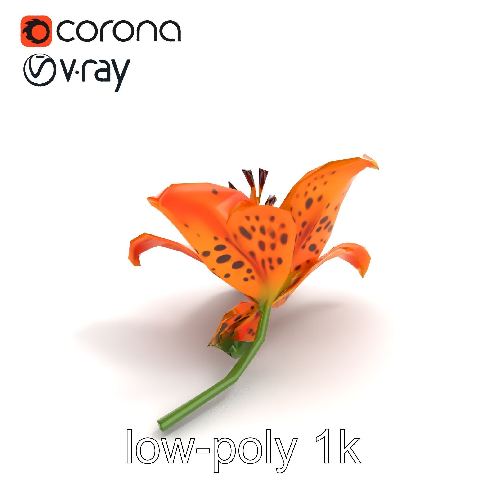 Leopard Lily Botanical Floral Sculpture model pack Low-poly 3D model_8