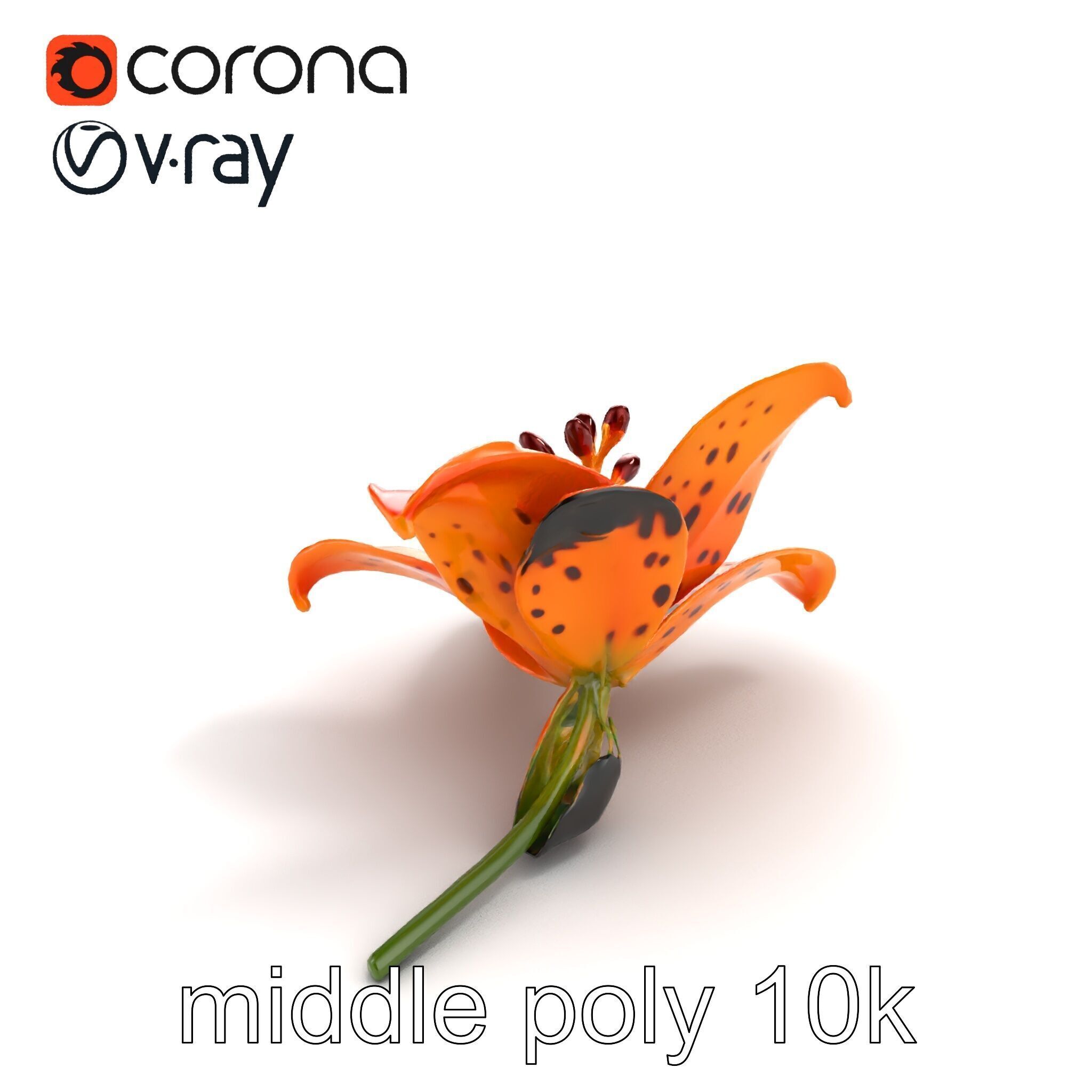 Leopard Lily Botanical Floral Sculpture model pack Low-poly 3D model_7