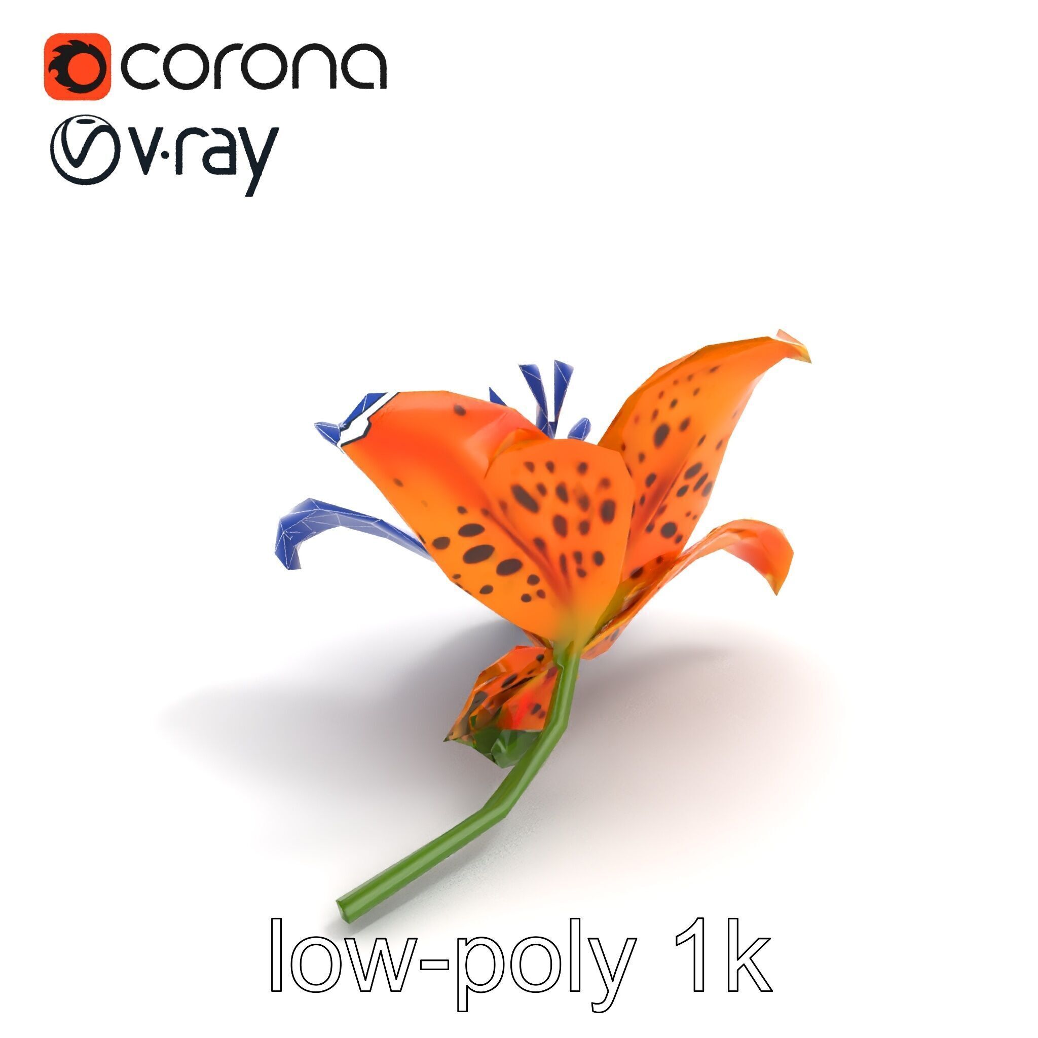 Leopard Lily Botanical Floral Sculpture model pack Low-poly 3D model_12
