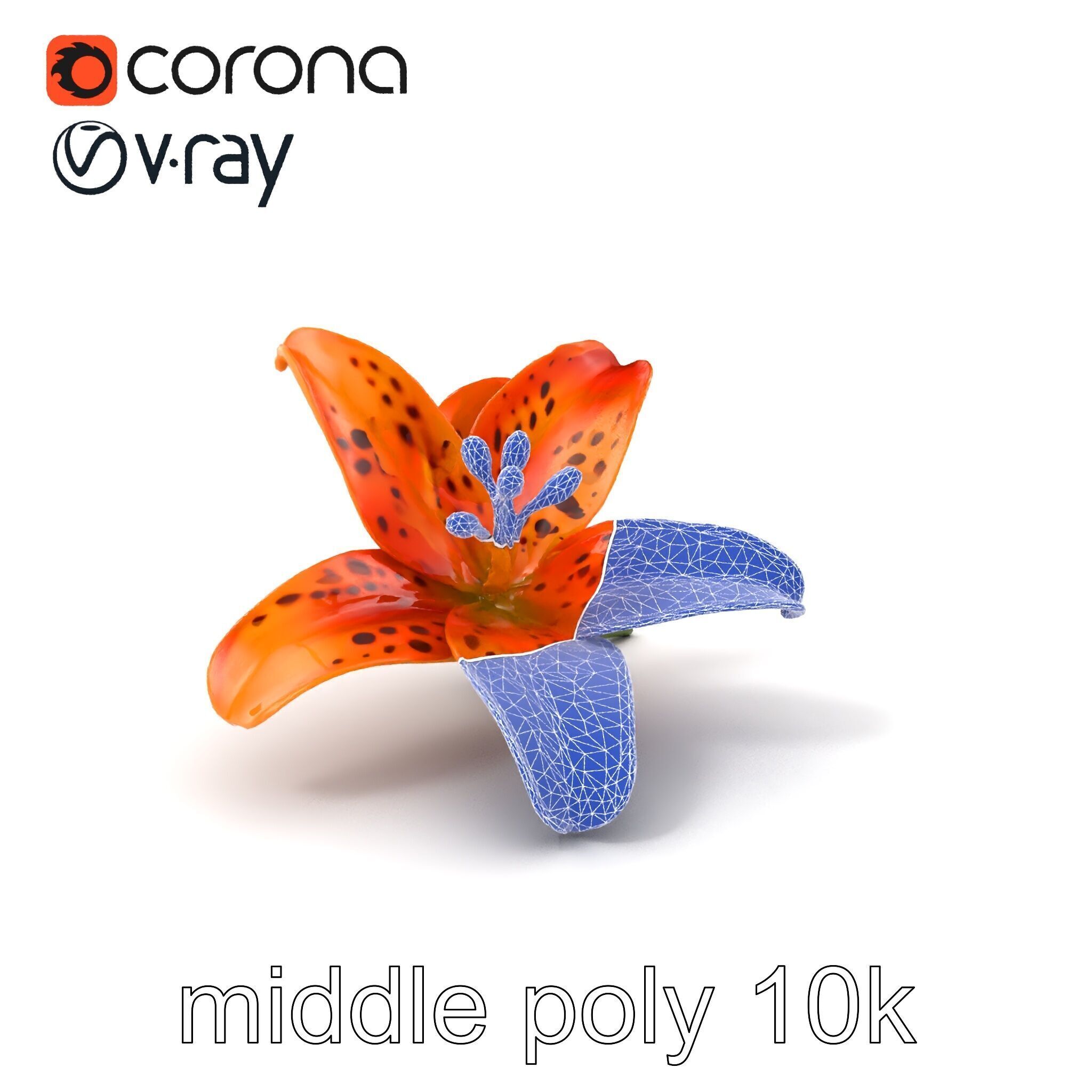 Leopard Lily Botanical Floral Sculpture model pack Low-poly 3D model_5