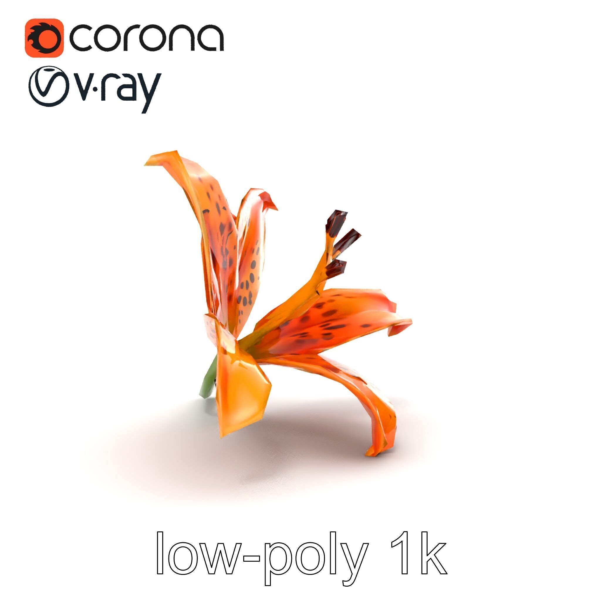 Leopard Lily Botanical Floral Sculpture model pack Low-poly 3D model_23