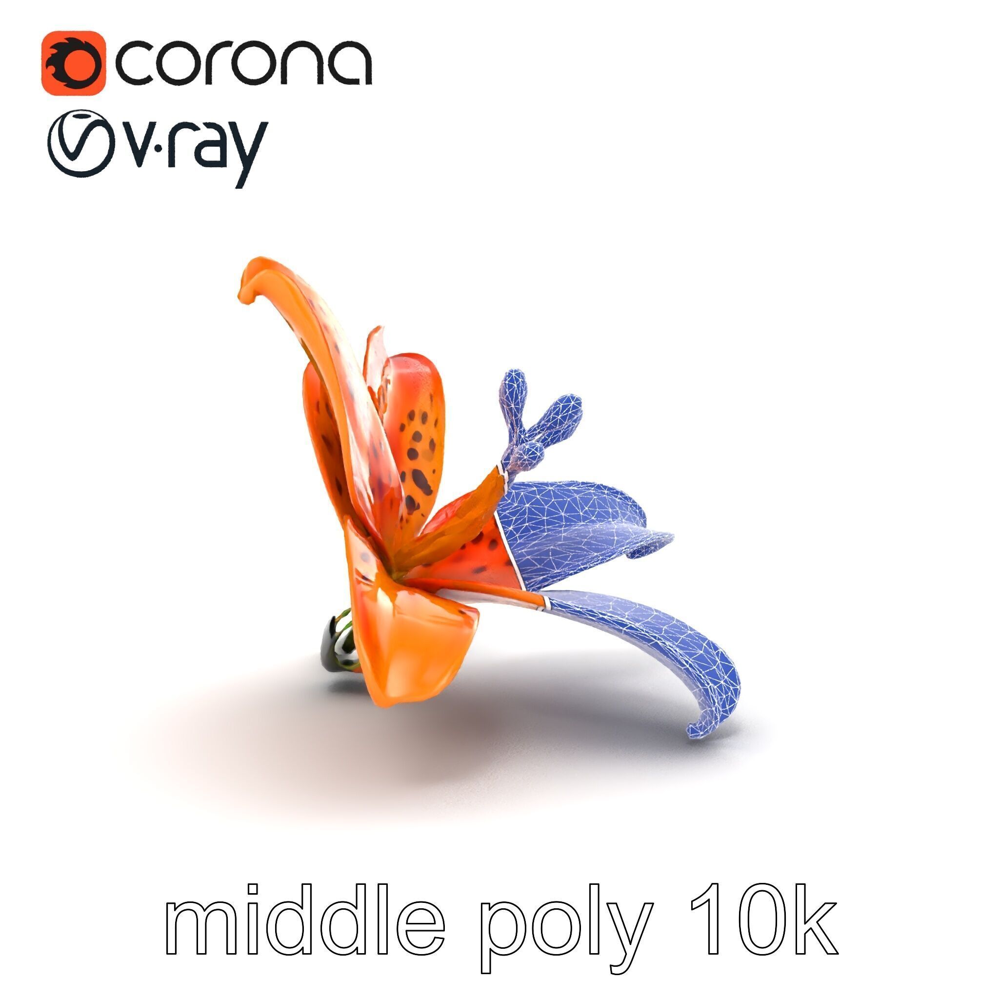 Leopard Lily Botanical Floral Sculpture model pack Low-poly 3D model_18