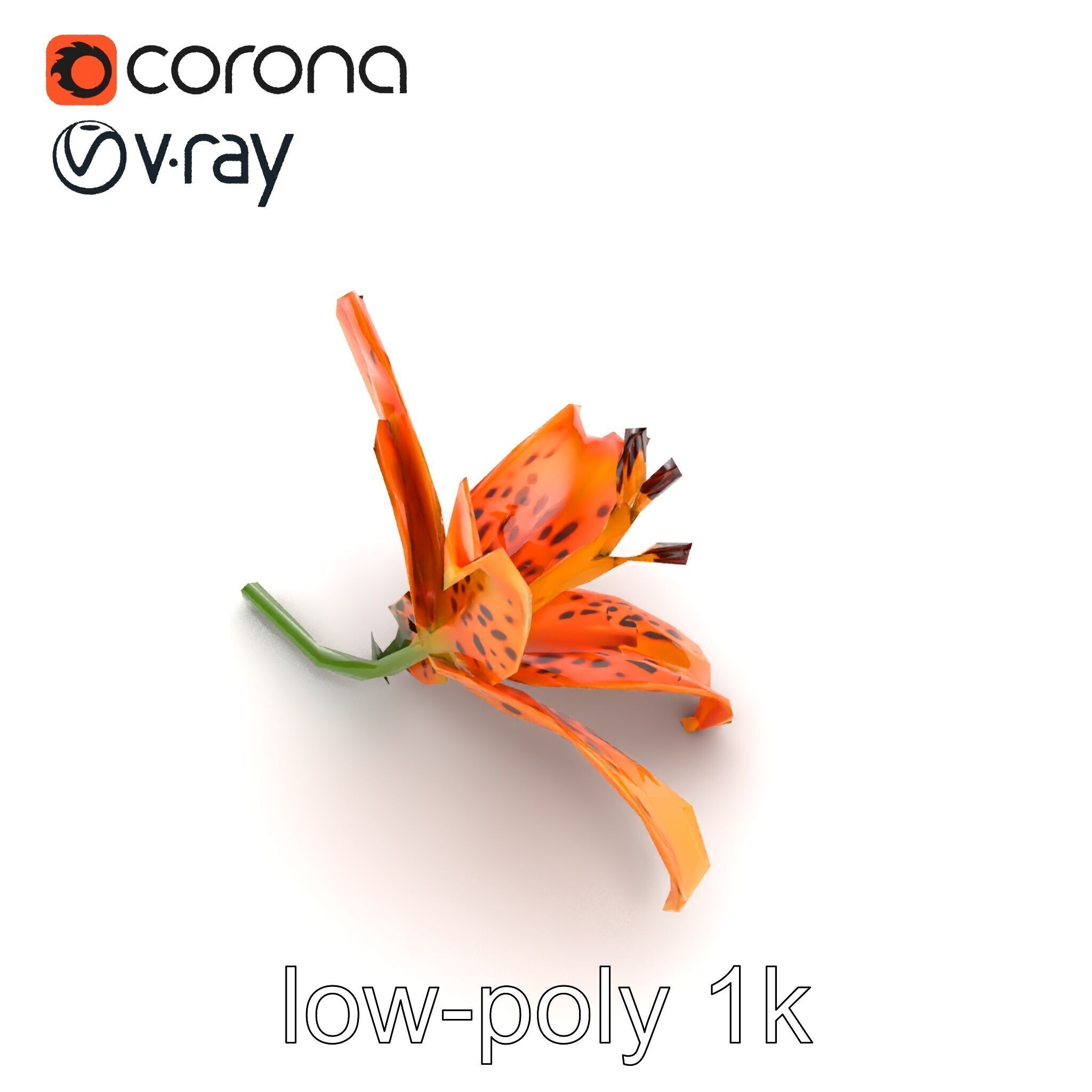 Leopard Lily Botanical Floral Sculpture model pack Low-poly 3D model_19