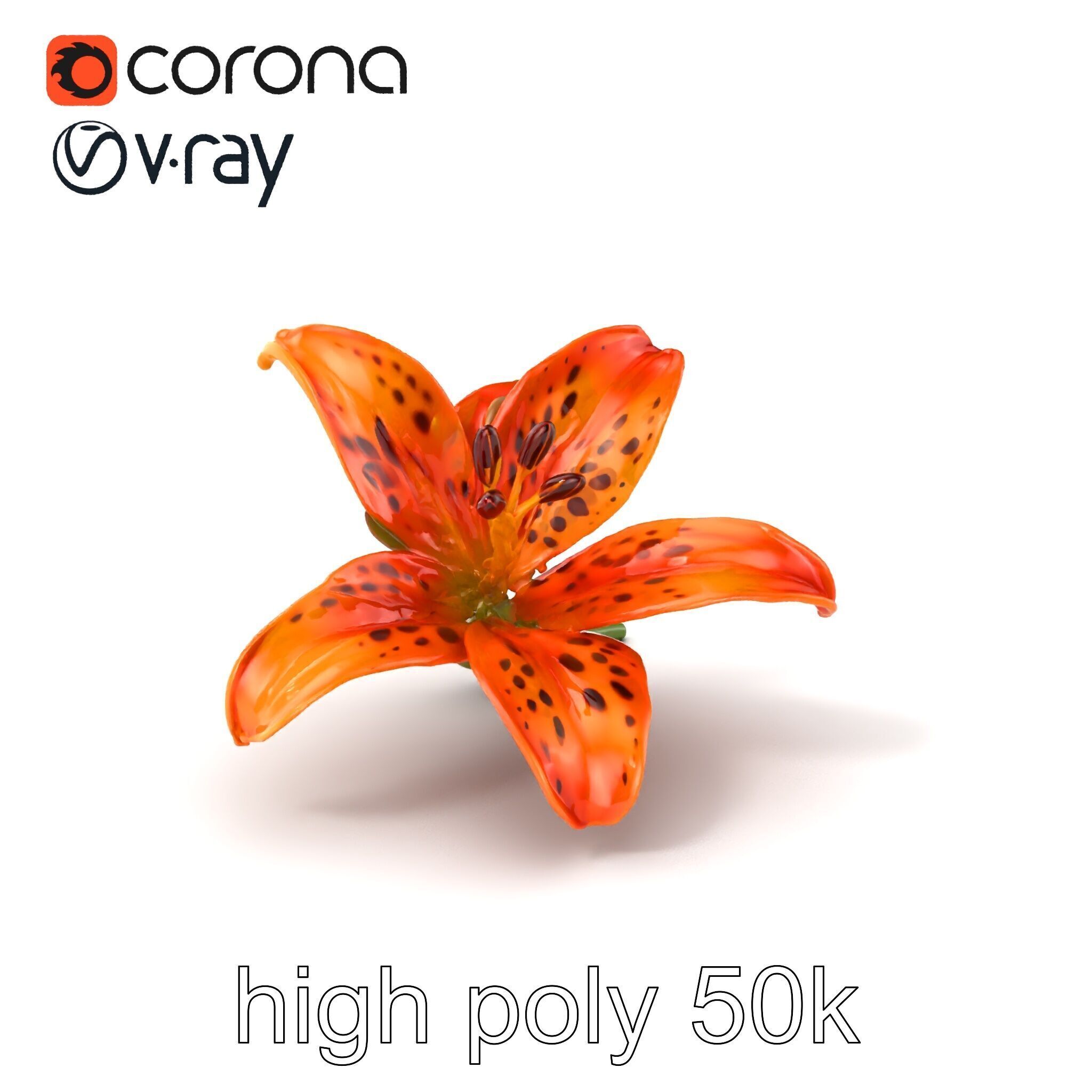 Leopard Lily Botanical Floral Sculpture model pack Low-poly 3D model_2
