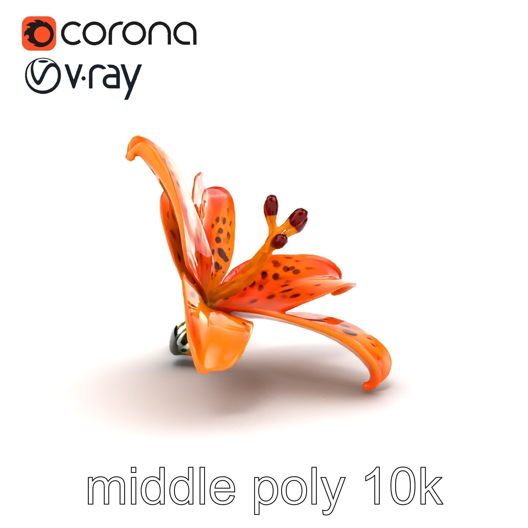 Leopard Lily Botanical Floral Sculpture model pack Low-poly 3D model_14