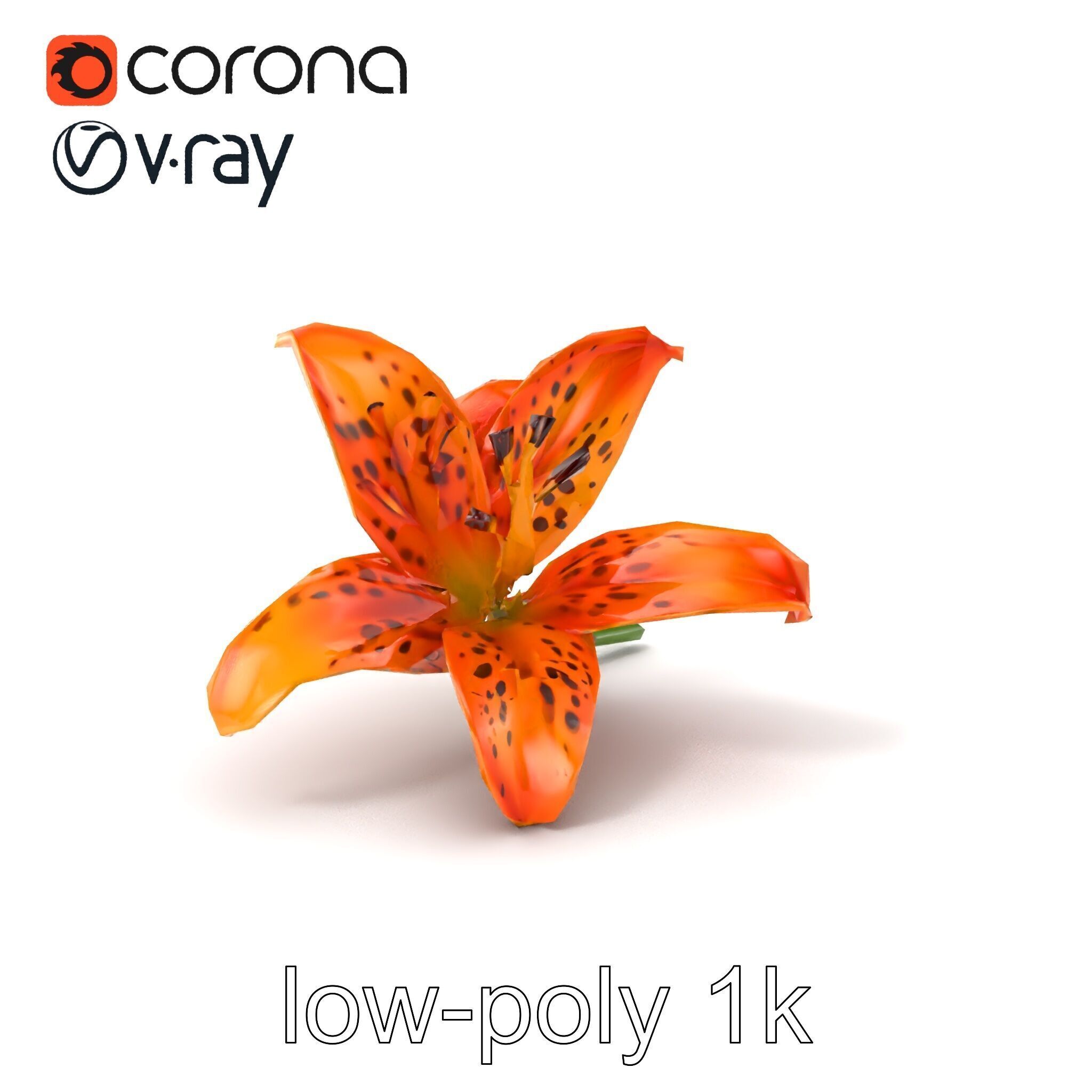 Leopard Lily Botanical Floral Sculpture model pack Low-poly 3D model_4