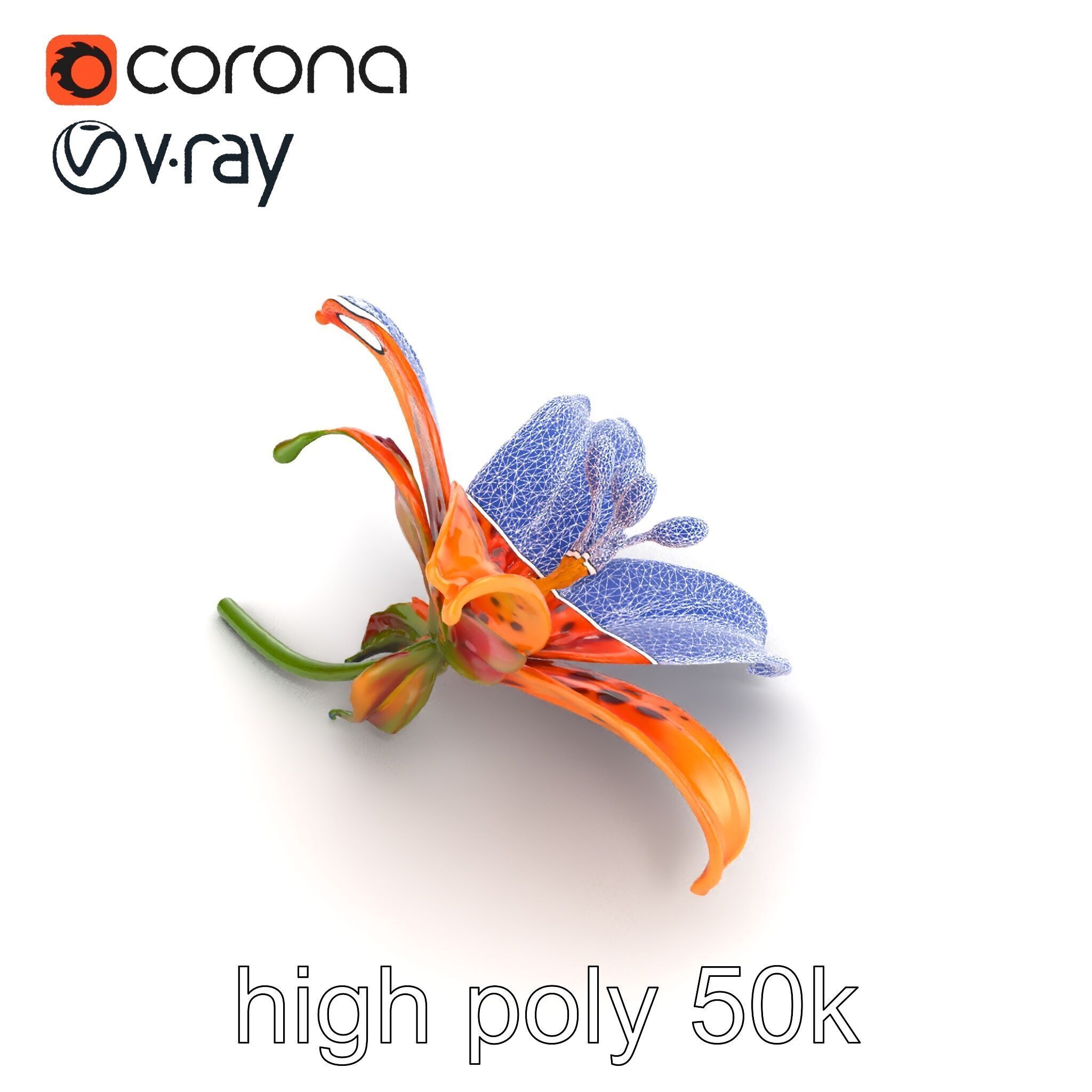 Leopard Lily Botanical Floral Sculpture model pack Low-poly 3D model_30